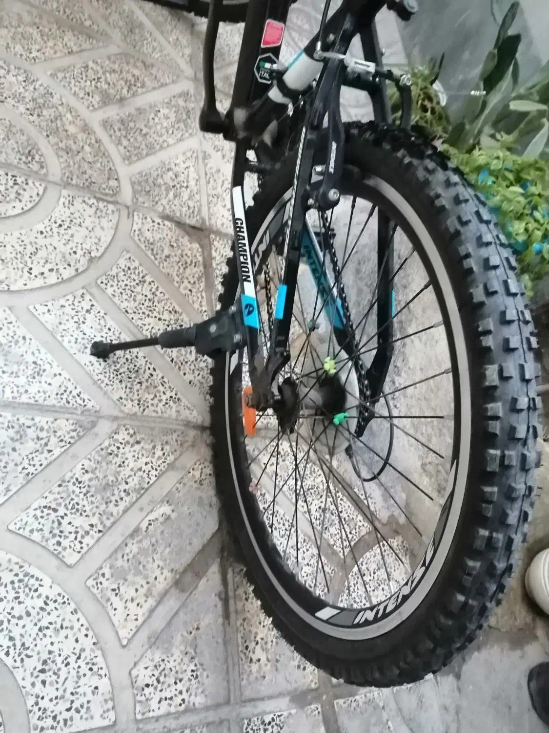 دوچرخه 24 اینتنس|دوچرخه، اسکیت، اسکوتر|صفادشت, |دیوار