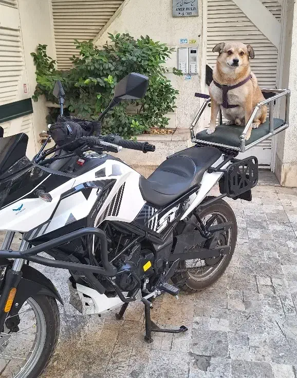 sym NH250 1404|موتورسیکلت|تهران, حکمت|دیوار