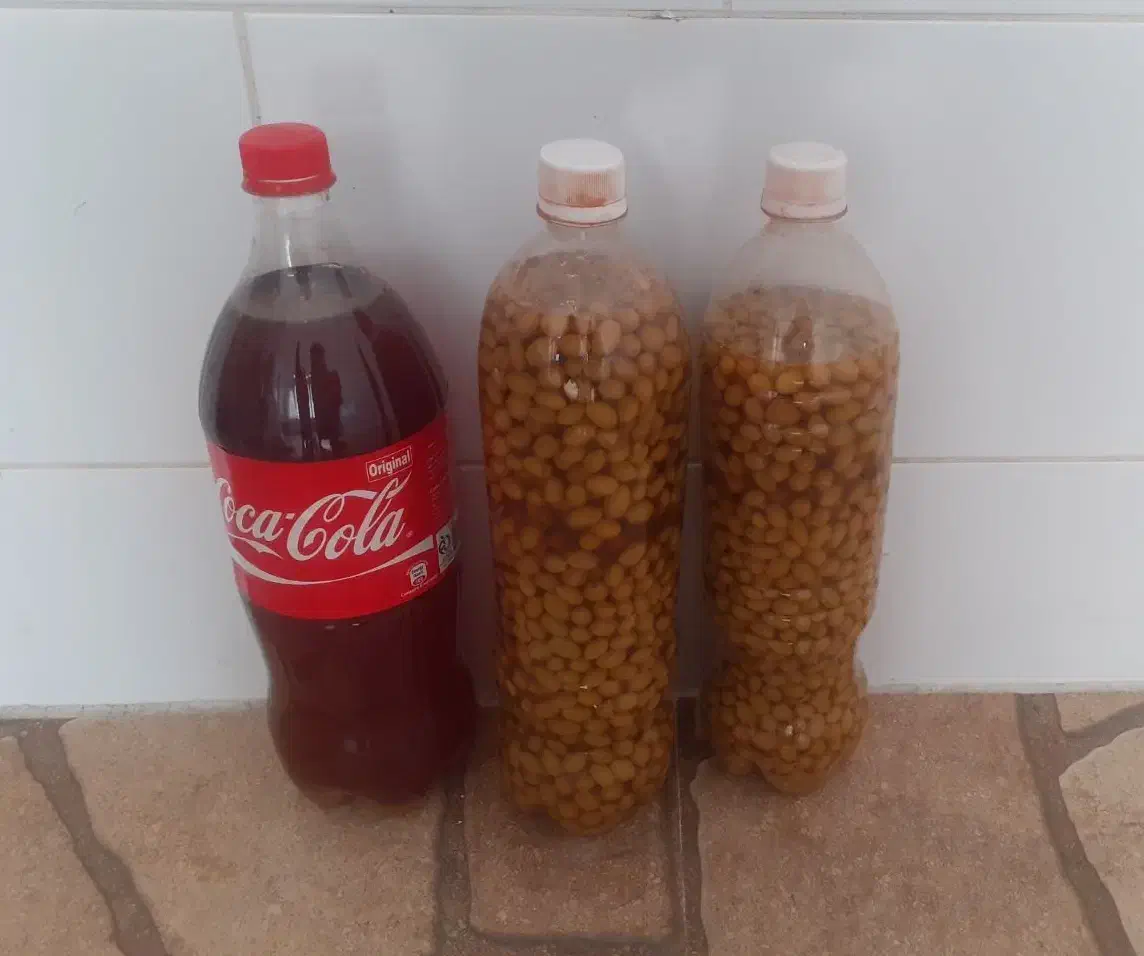 غوره و آبغوره طبیعی|خوردنی و آشامیدنی|ابهر, |دیوار