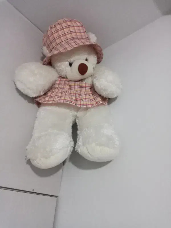 خرس پولیشی|اسباببازی|قم, پردیسان|دیوار