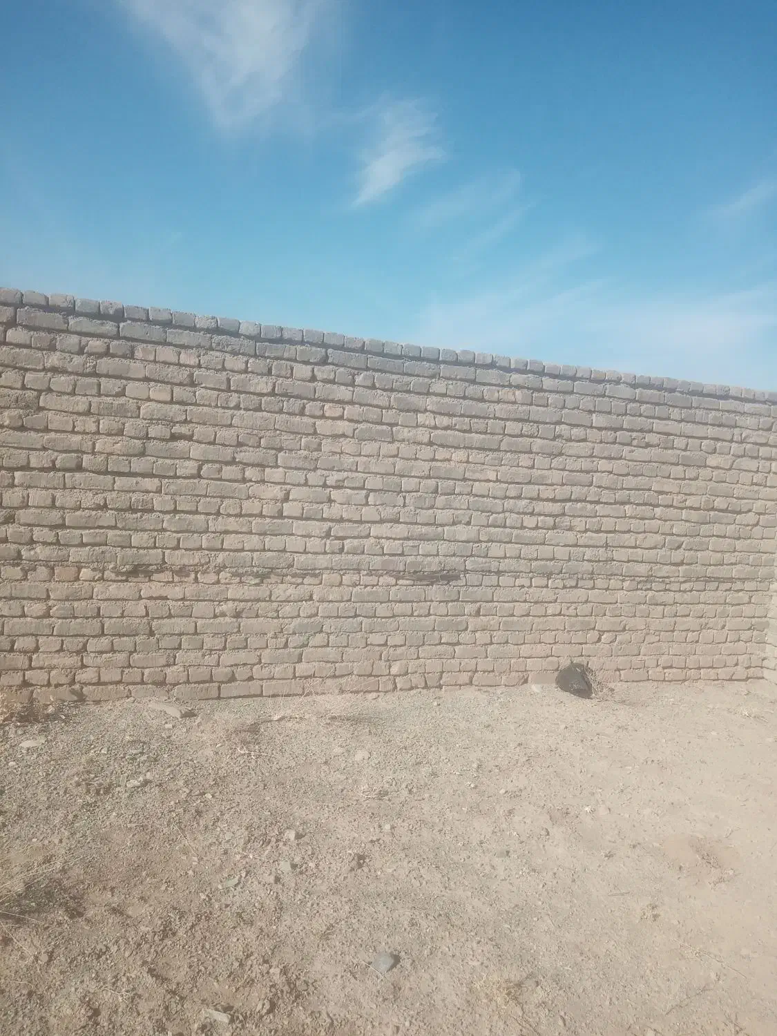 زمین در شهرک ولیعصر بلوار انقلاب انقلاب 11|فروش زمین و ملک کلنگی|تربتحیدریه, شهرک ولیعصر|دیوار