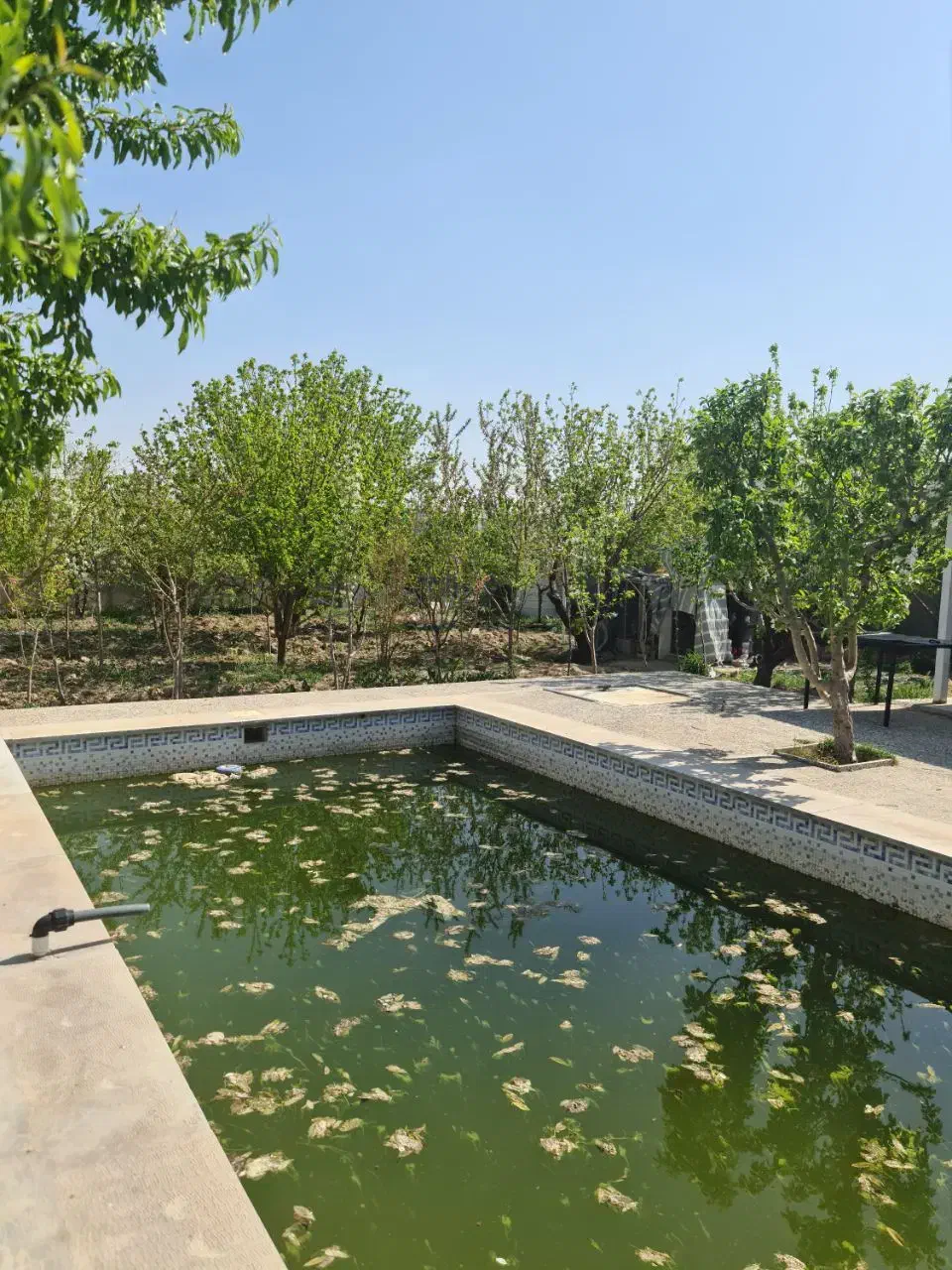 باغ ۸۵۰متری/کنتور برق اختصاصی/تهاتر با ویلا آماده|فروش خانه و ویلا|محمدشهر, همایون ویلا|دیوار