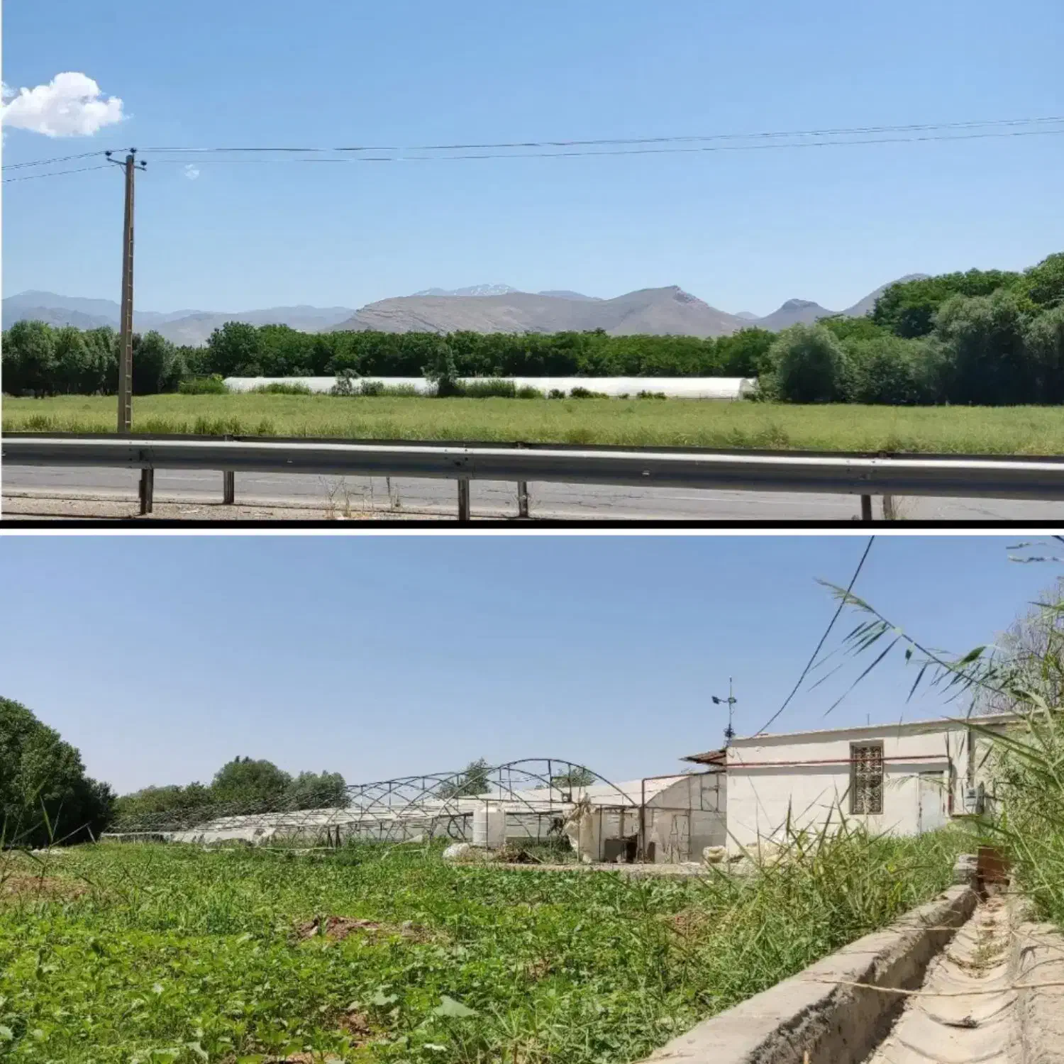 ۴۰۰۰ مترمربع گلخانه و باغ-ویلا جنب اتوبان خرم‌آباد|فروش دفتر صنعتی، کشاورزی، تجاری|الشتر, |دیوار