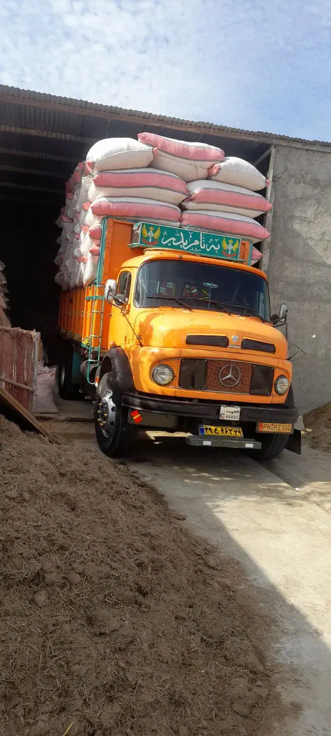 کاه|عمده‌فروشی|باوله, |دیوار