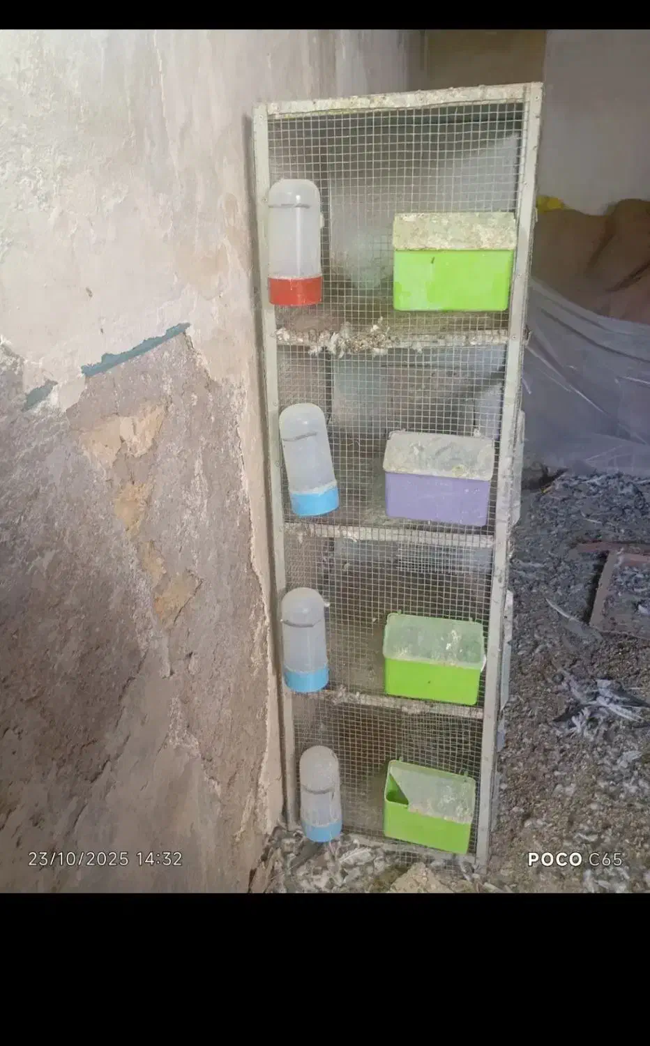 جفت کن کفتر|لوازم جانبی حیوانات|پیر بکران, |دیوار