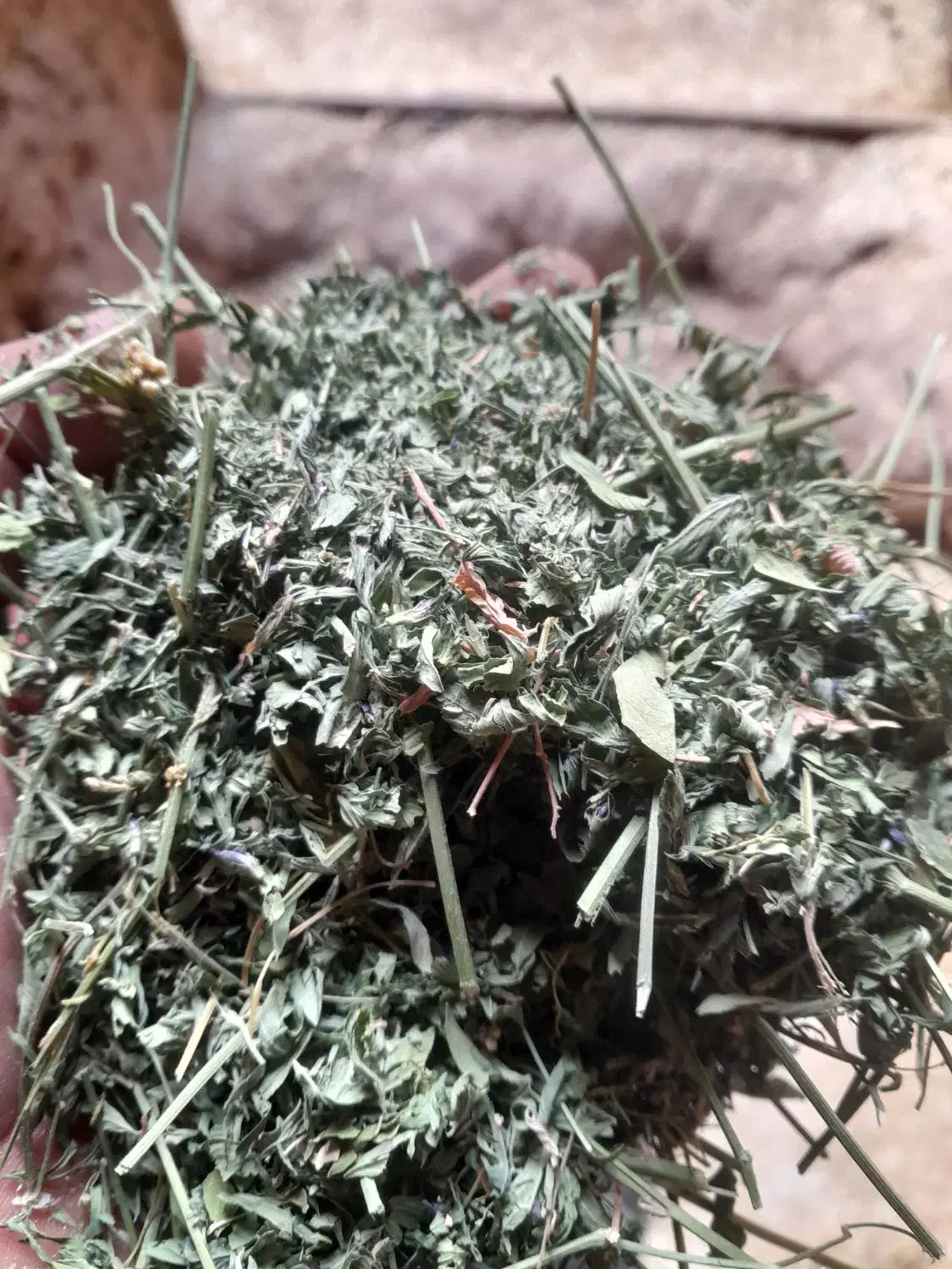 گل یونجه وذرت اسیاب شده|خدمات باغبانی و درختکاری|نهاوند, |دیوار