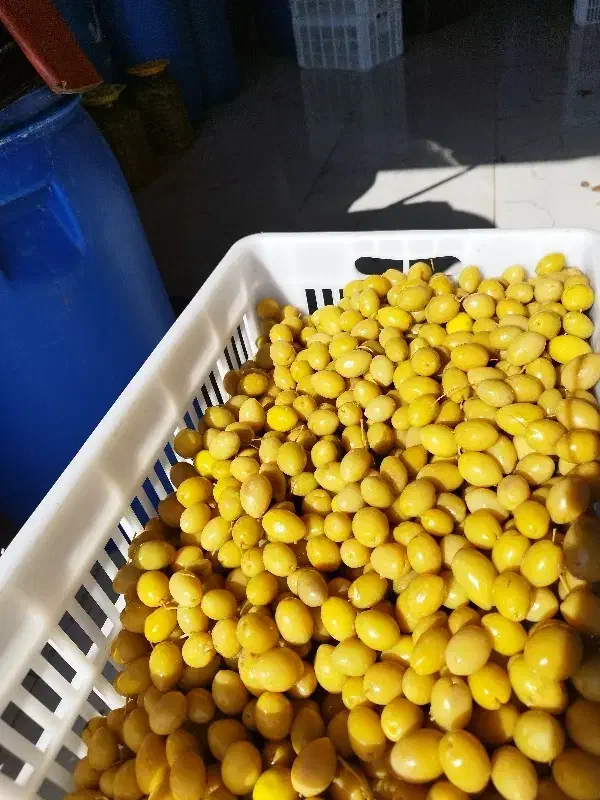 زیتون شور|خوردنی و آشامیدنی|استهبان, |دیوار