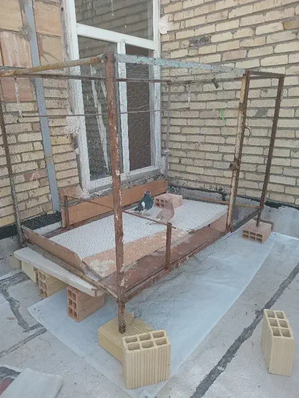 قفس پرنده  و مرغ|لوازم جانبی حیوانات|ارومیه, |دیوار