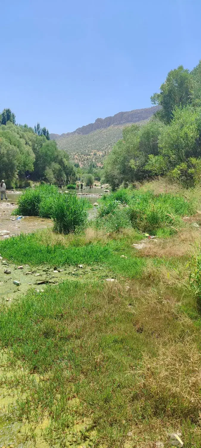 همسفر آفرودی|فعالیت داوطلبانه تحقیقاتی|شیراز, گویم|دیوار