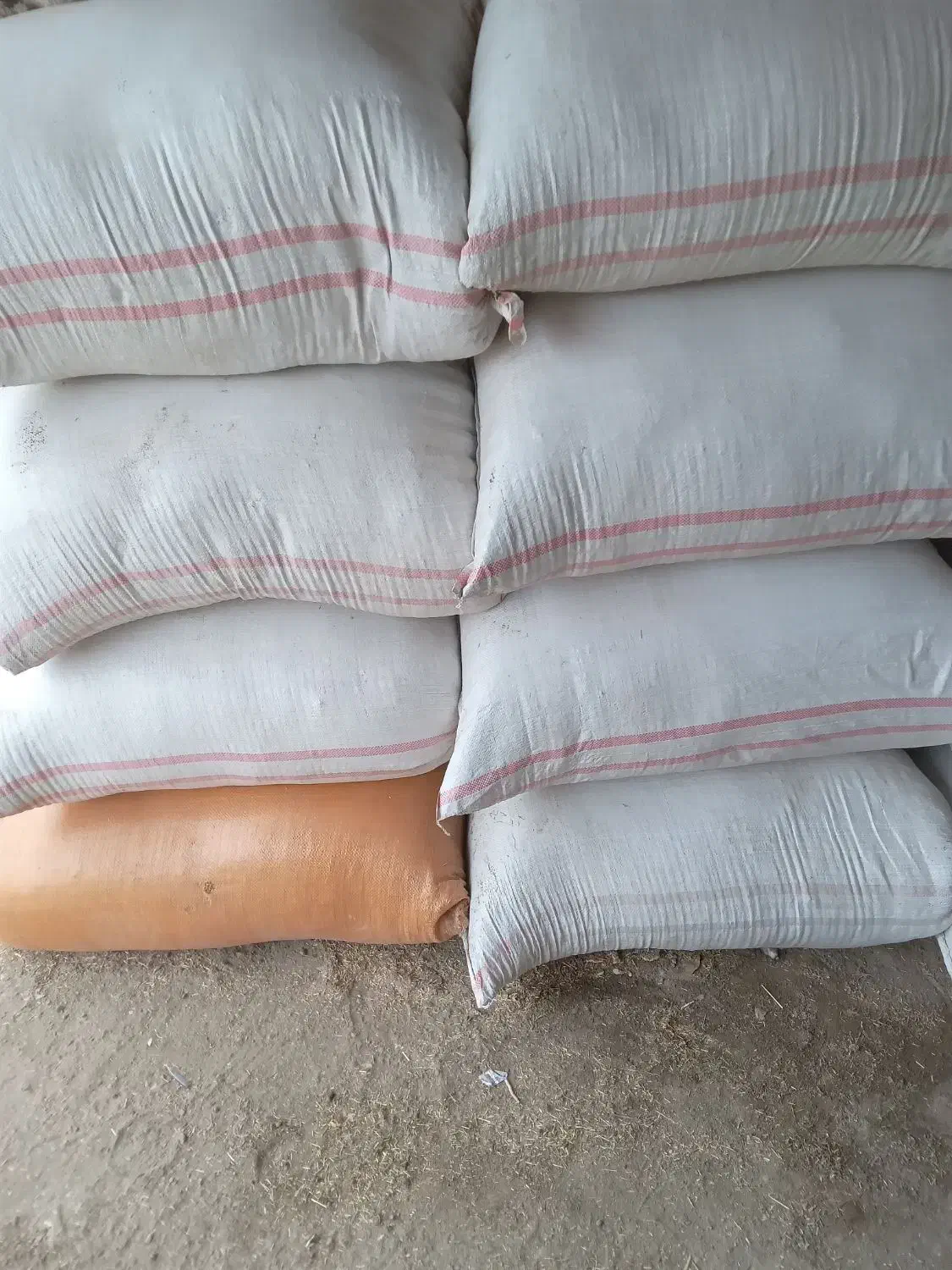 کاه گندم|لوازم جانبی حیوانات|صومای برادوست, |دیوار