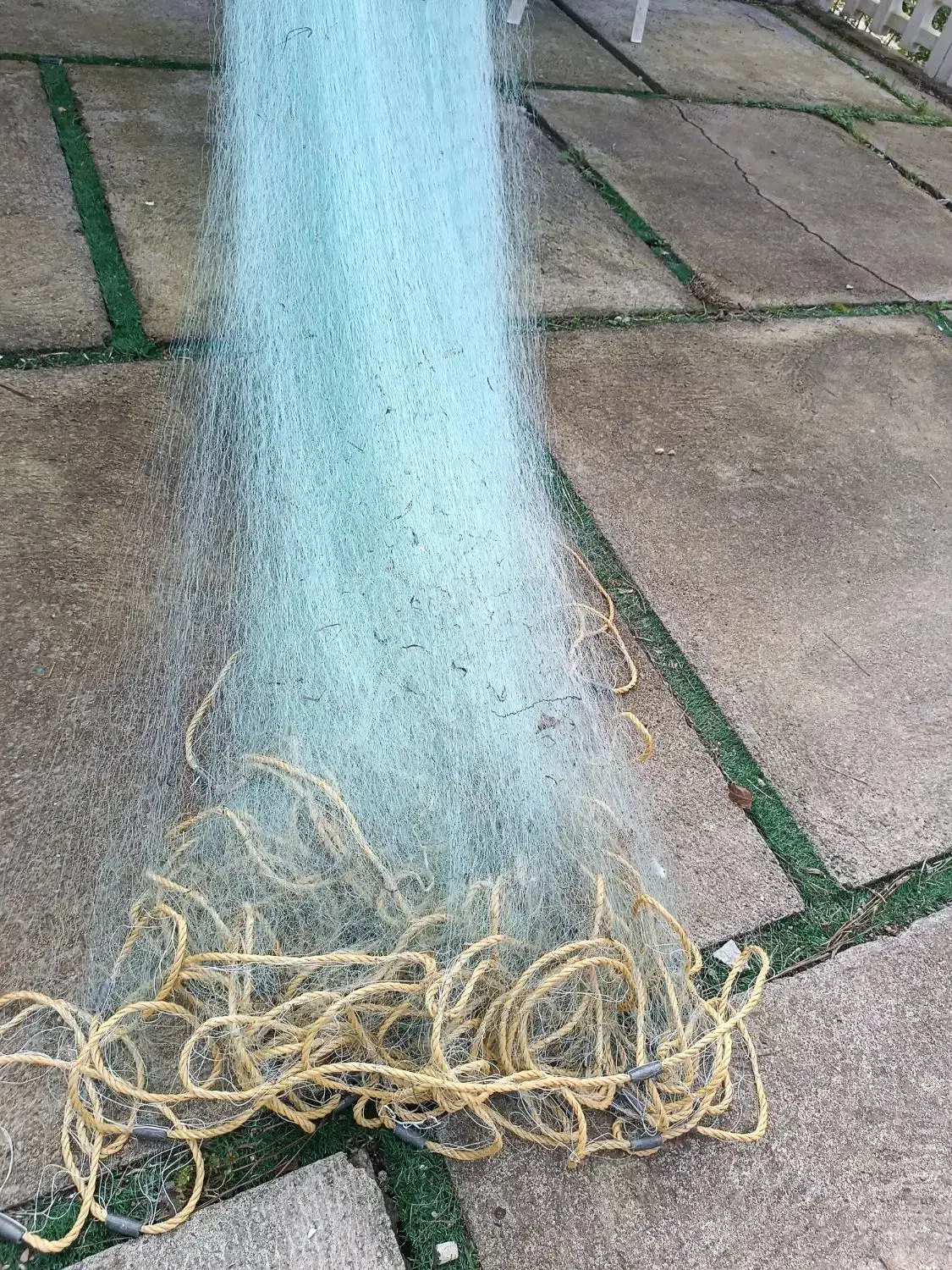 تور صیادی (لاکش) 2عدد|ماهیگیری|بندر انزلی, مصلی|دیوار