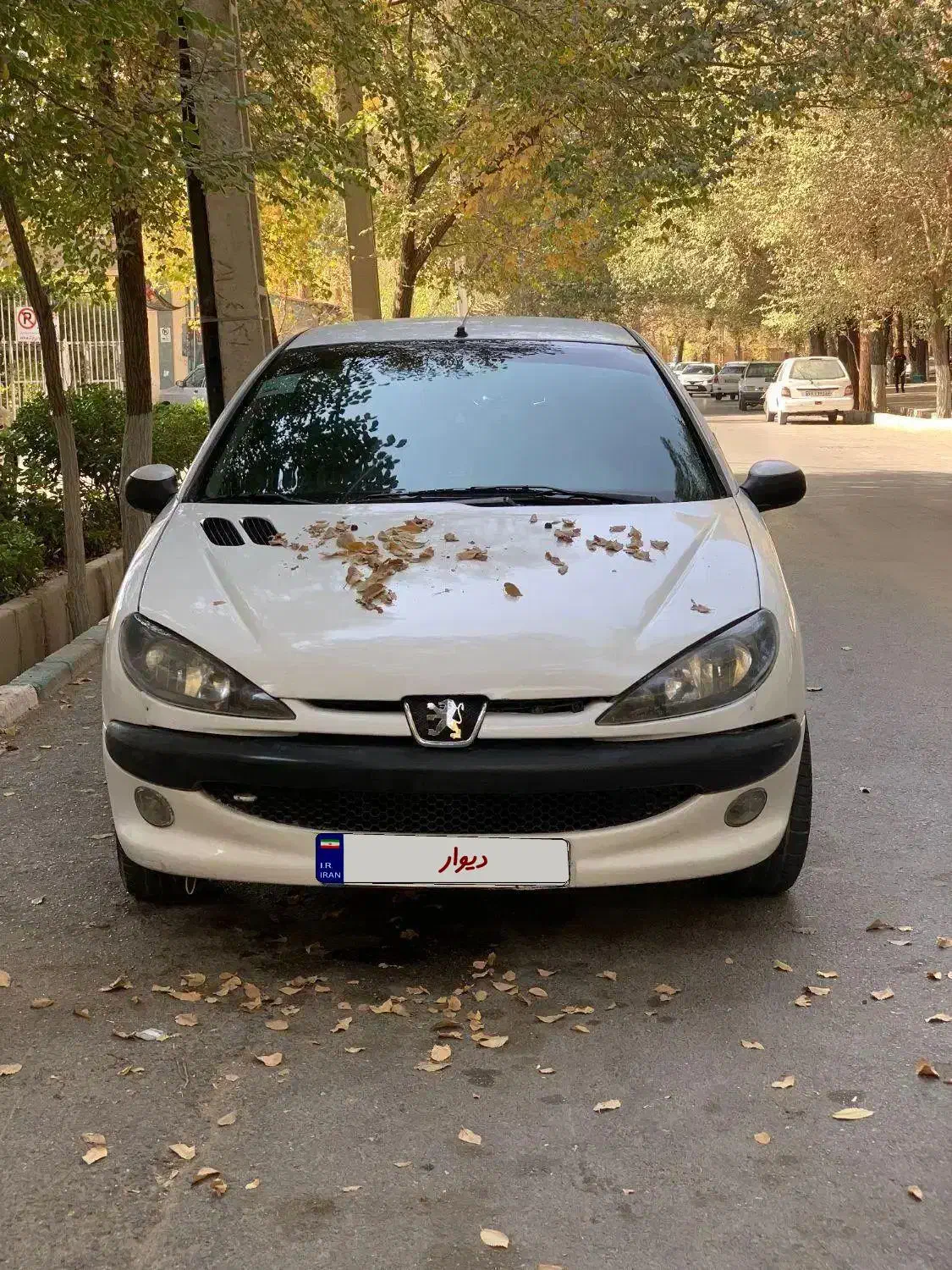 ۲۰۶|خودرو سواری و وانت|زارچ, |دیوار