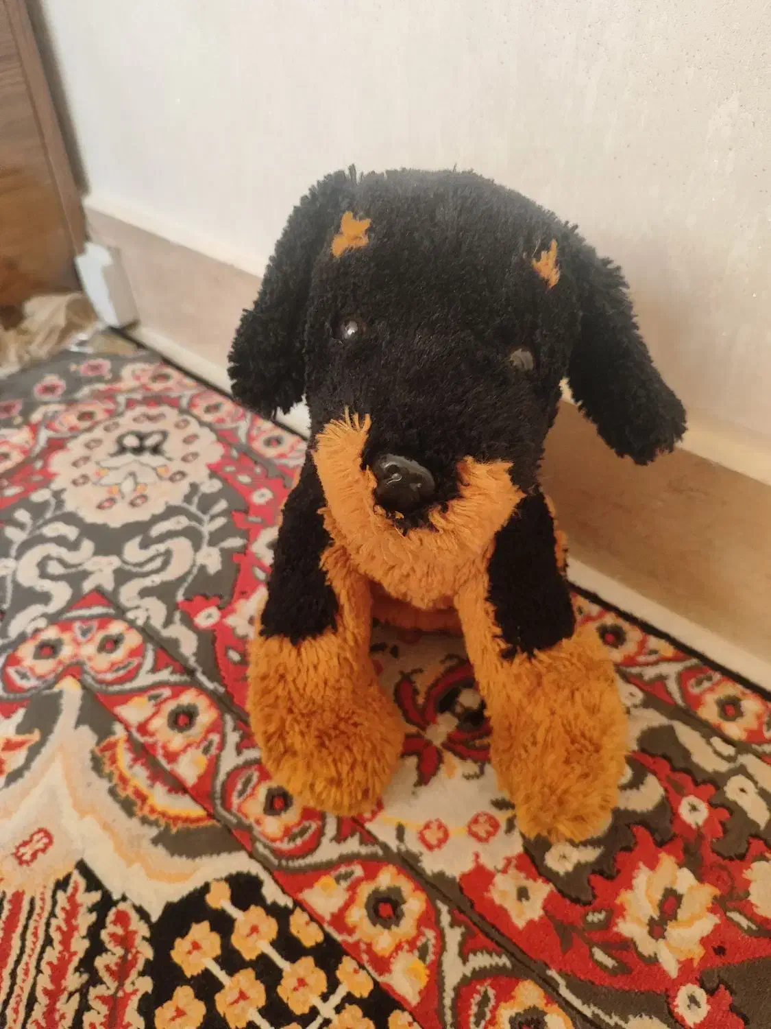 عروسک|اسباببازی بچه|صدرا-فارس, فاز ۱|دیوار