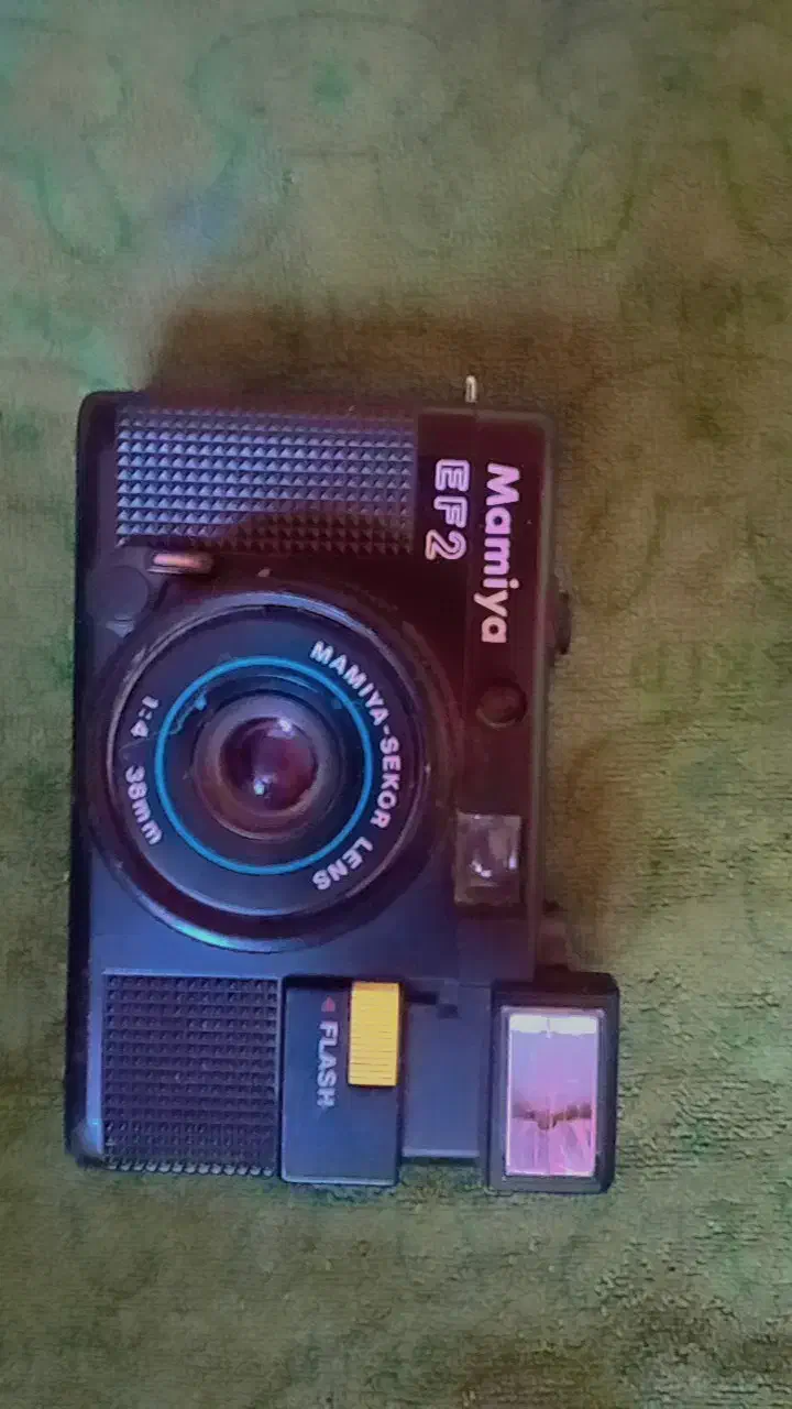 دوربین عکاسی|کلکسیون و سرگرمی|آوج, |دیوار