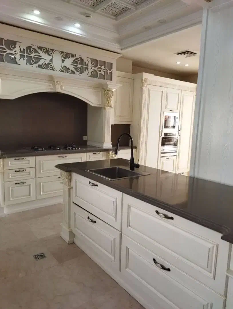 ۲۴۰ متر تکواحدی/ویو مشجر/آشپزخانه فول فرنیش|اجارهٔ آپارتمان|تهران, قیطریه|دیوار