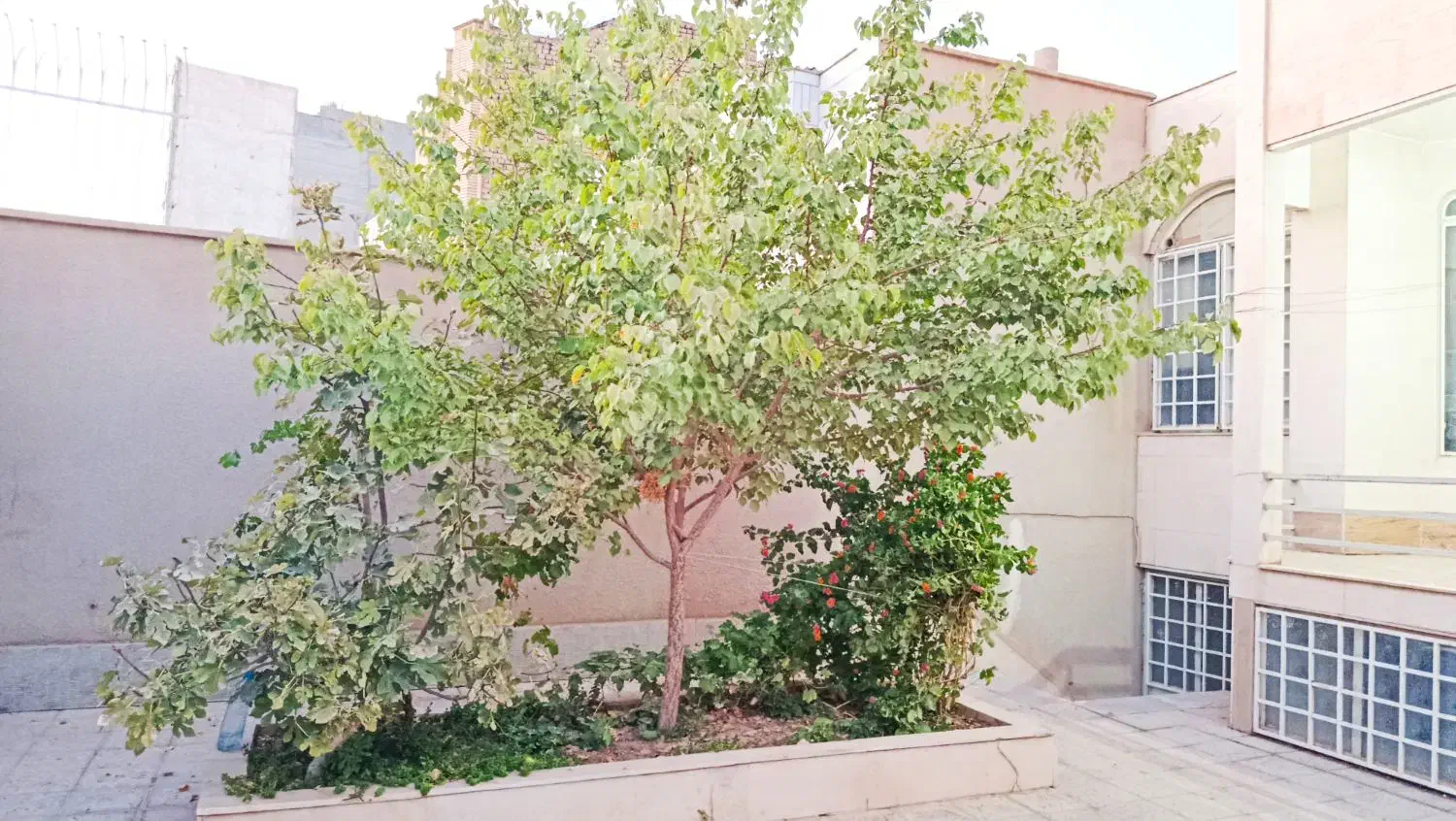 منزل ویلایی کاشمر|اجارهٔ خانه و ویلا|کاشمر, |دیوار