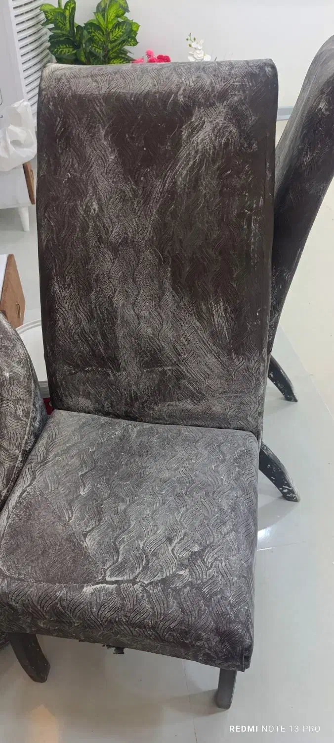 صندلیی|میز و صندلی غذاخوری|برازجان, |دیوار