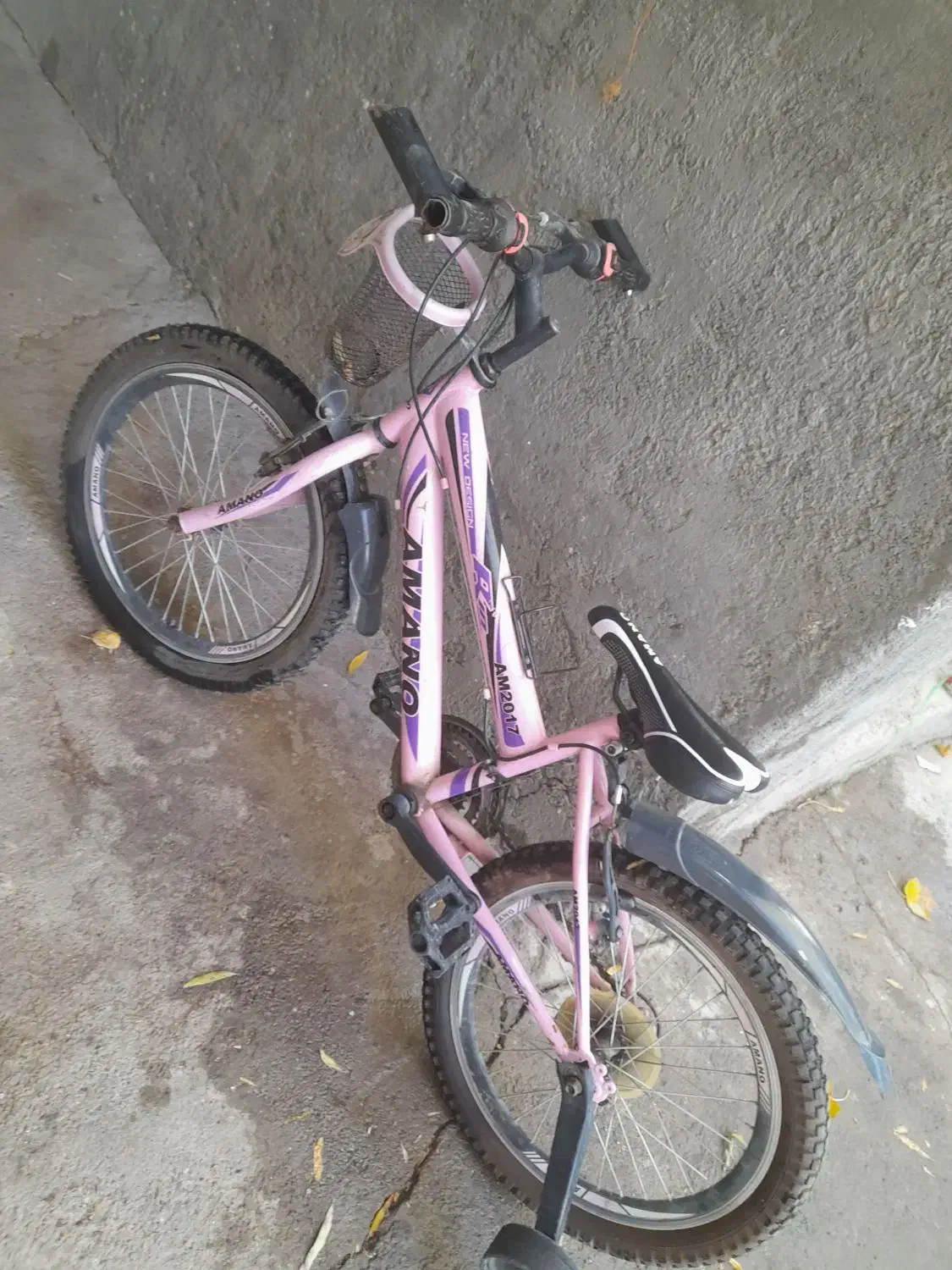 دوچرخه دخترانه|دوچرخه، اسکیت، اسکوتر|میانه, |دیوار