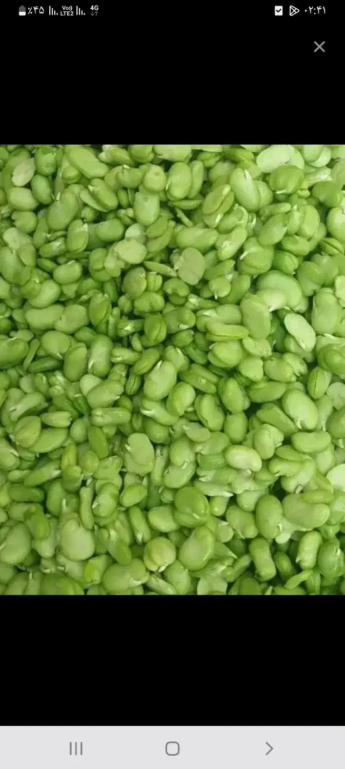 باقلا سبز|خوردنی و آشامیدنی|جلین, |دیوار