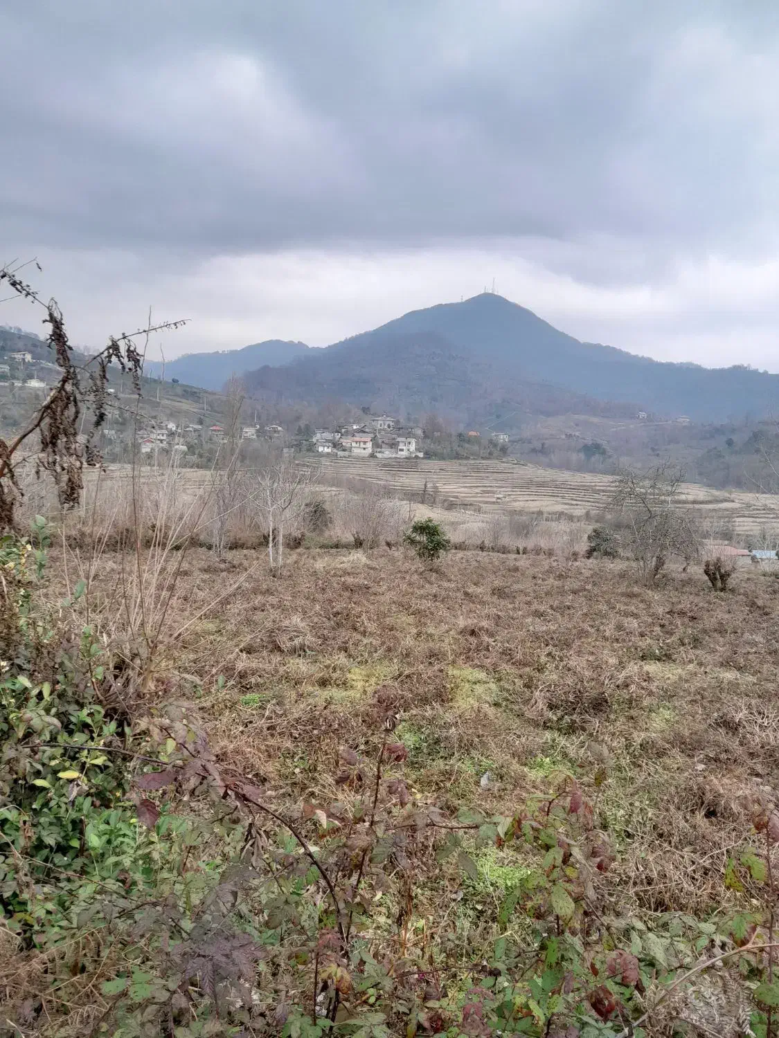 فروش زمین باغی۴۰۰۰متری/بر اسفالت/اطاقور|فروش زمین و ملک کلنگی|اطاقور, |دیوار