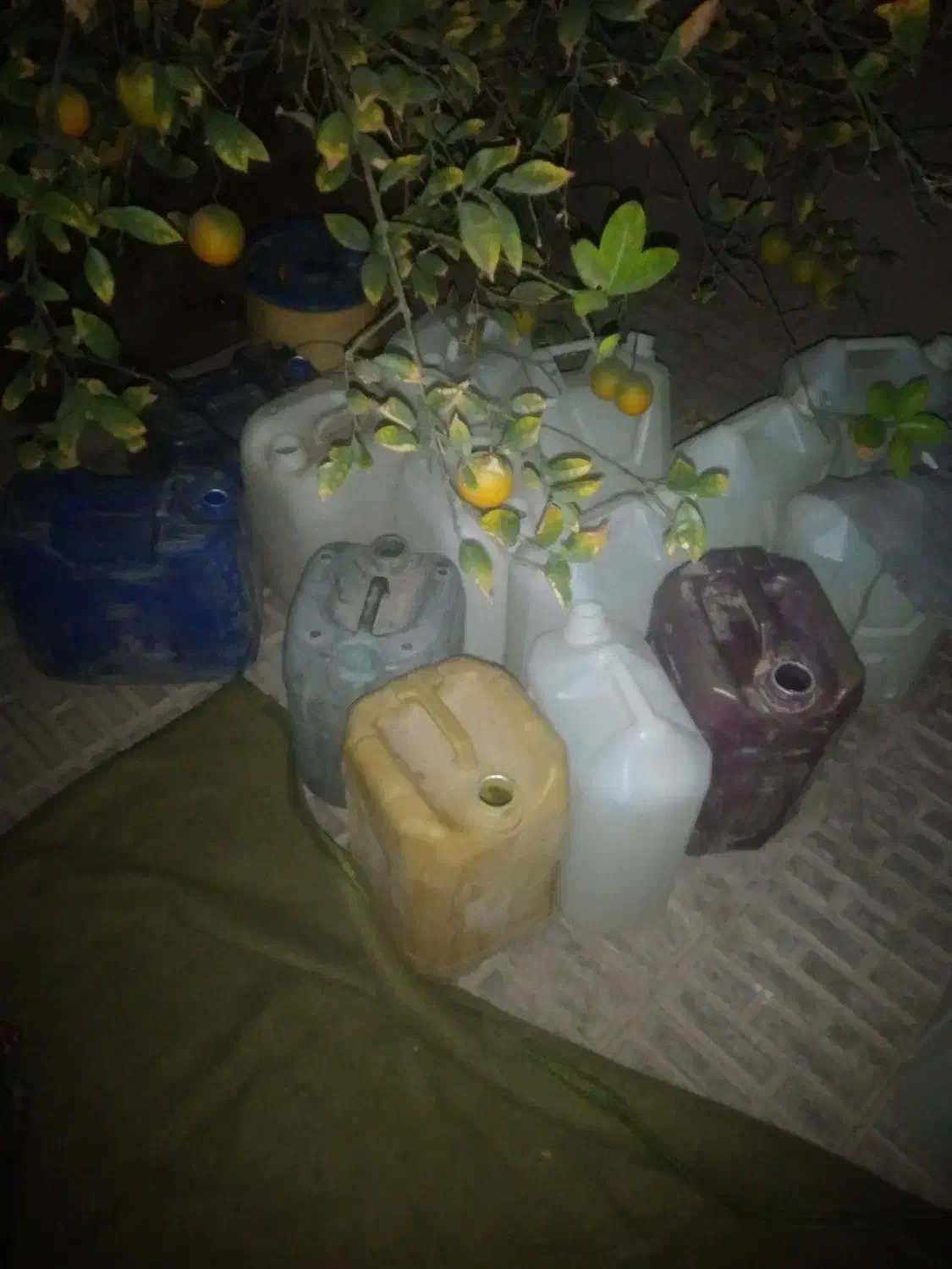 ۲۰ لیتری ایرانی و خارجی|ظروف نگهدارنده، پلاستیکی، یکبارمصرف|بم, |دیوار