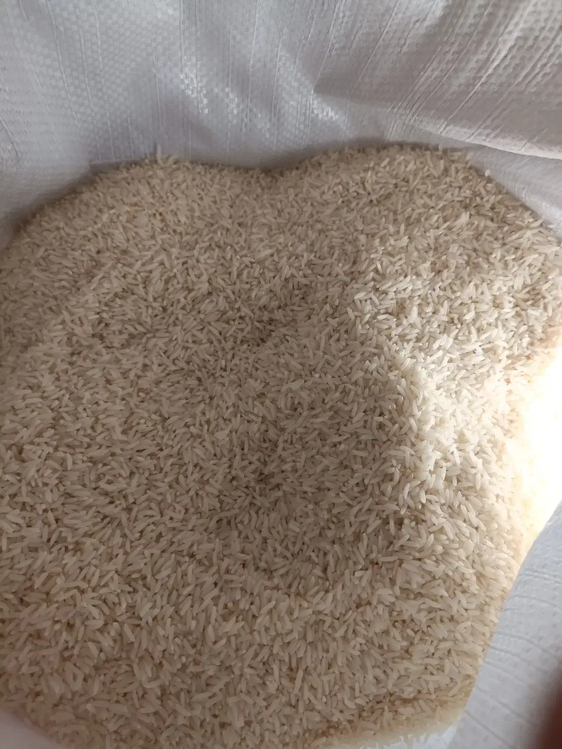 برنج دم سیاه مینودشت|خوردنی و آشامیدنی|مینودشت, |دیوار