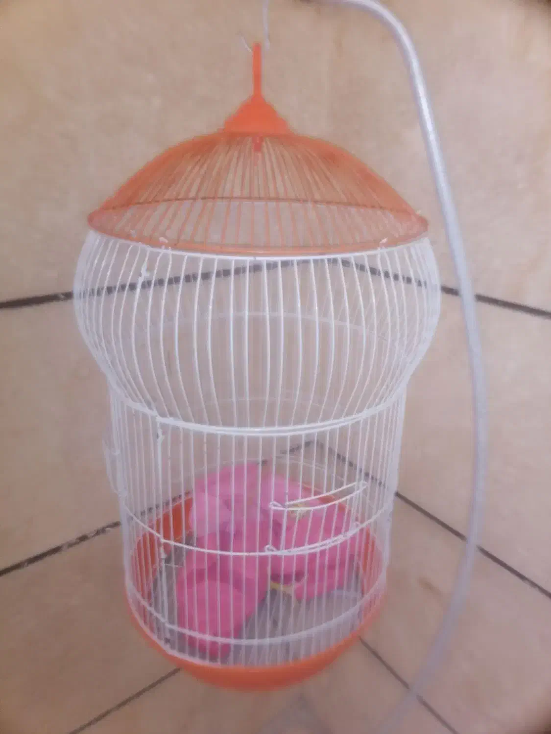 قفس پایه دار پرنده زینتی|لوازم جانبی حیوانات|فردیس, شهرک راه آهن|دیوار