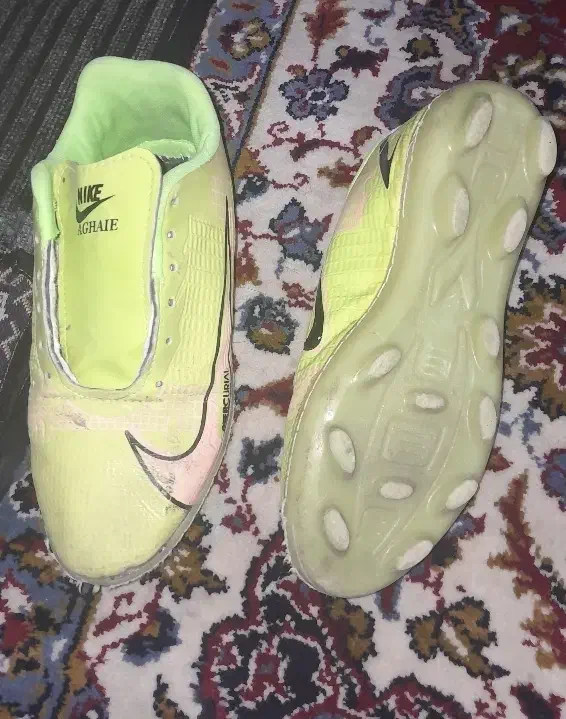 کفش استوک دار|کیف، کفش، کمربند|کارون, |دیوار