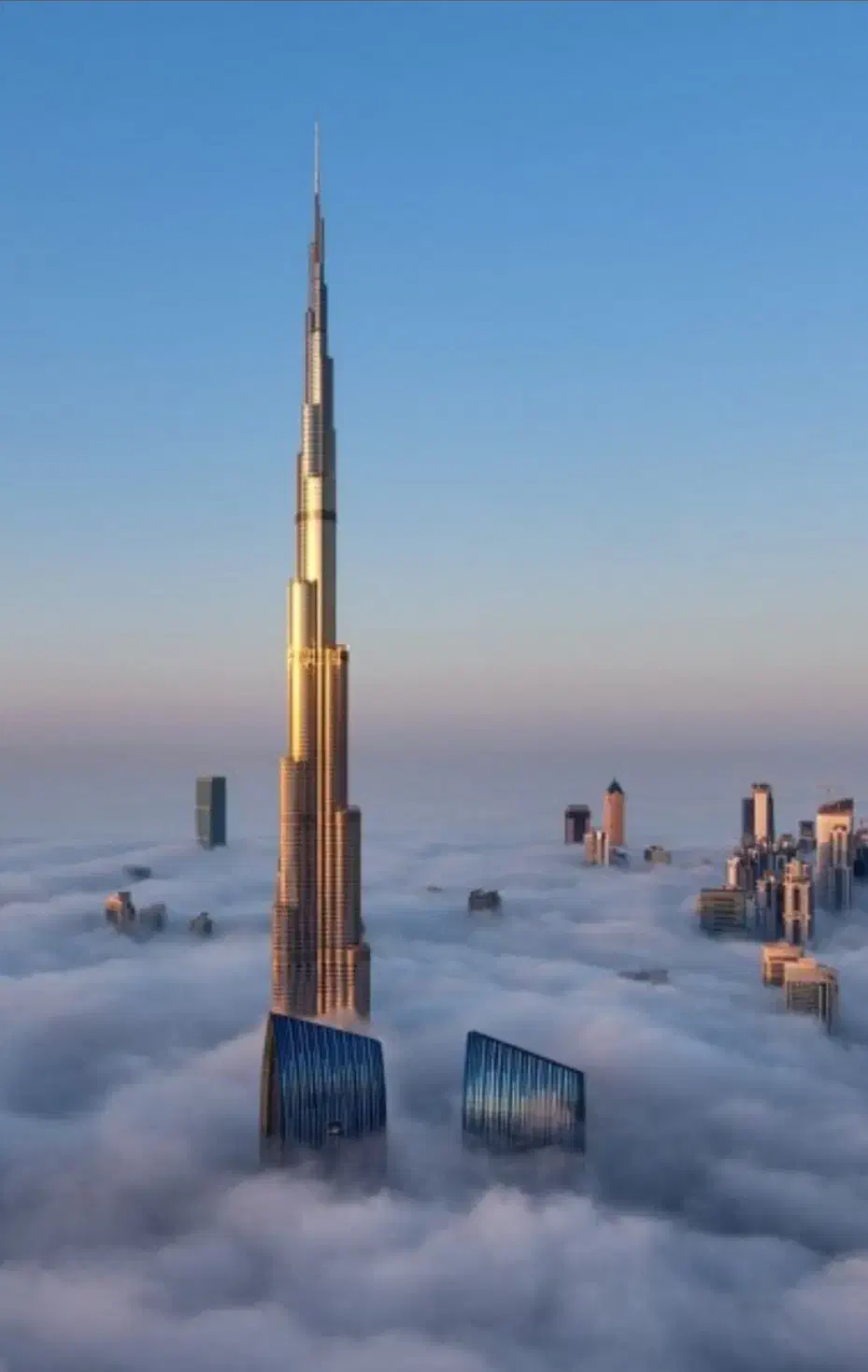 همخونه ، همخانه میپذیرم.|اجارهٔ آپارتمان|شیراز, گلدشت معالی‌آباد|دیوار