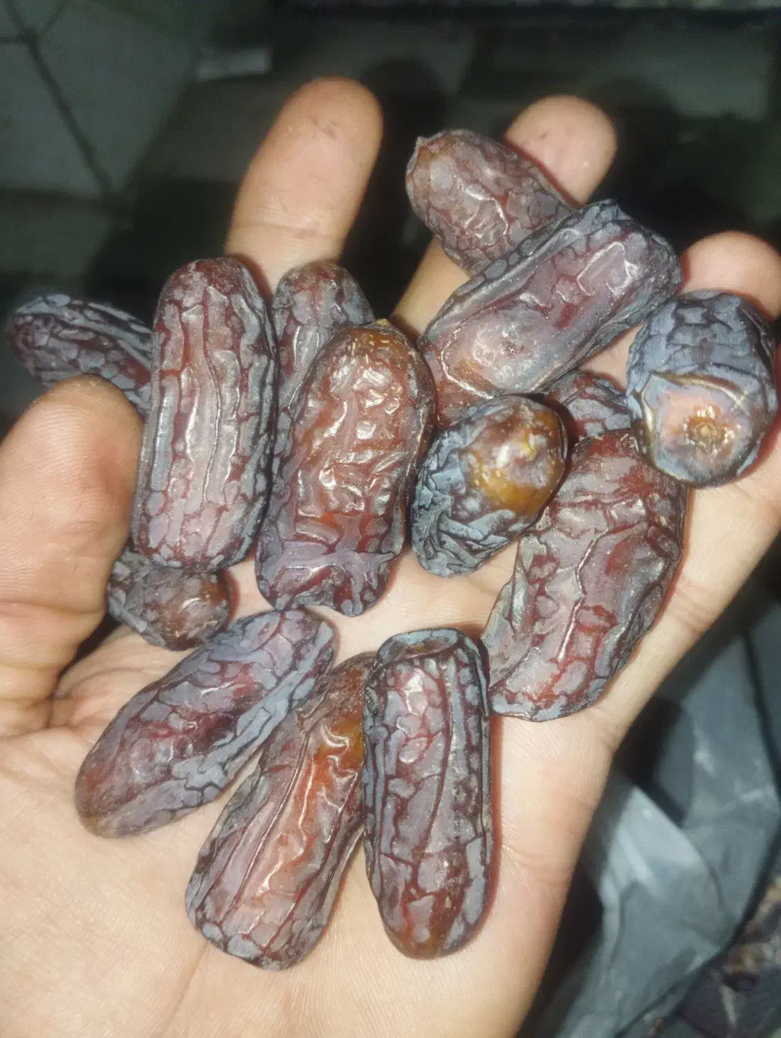 ریزه پیارم|حراج|حاجی آباد, |دیوار