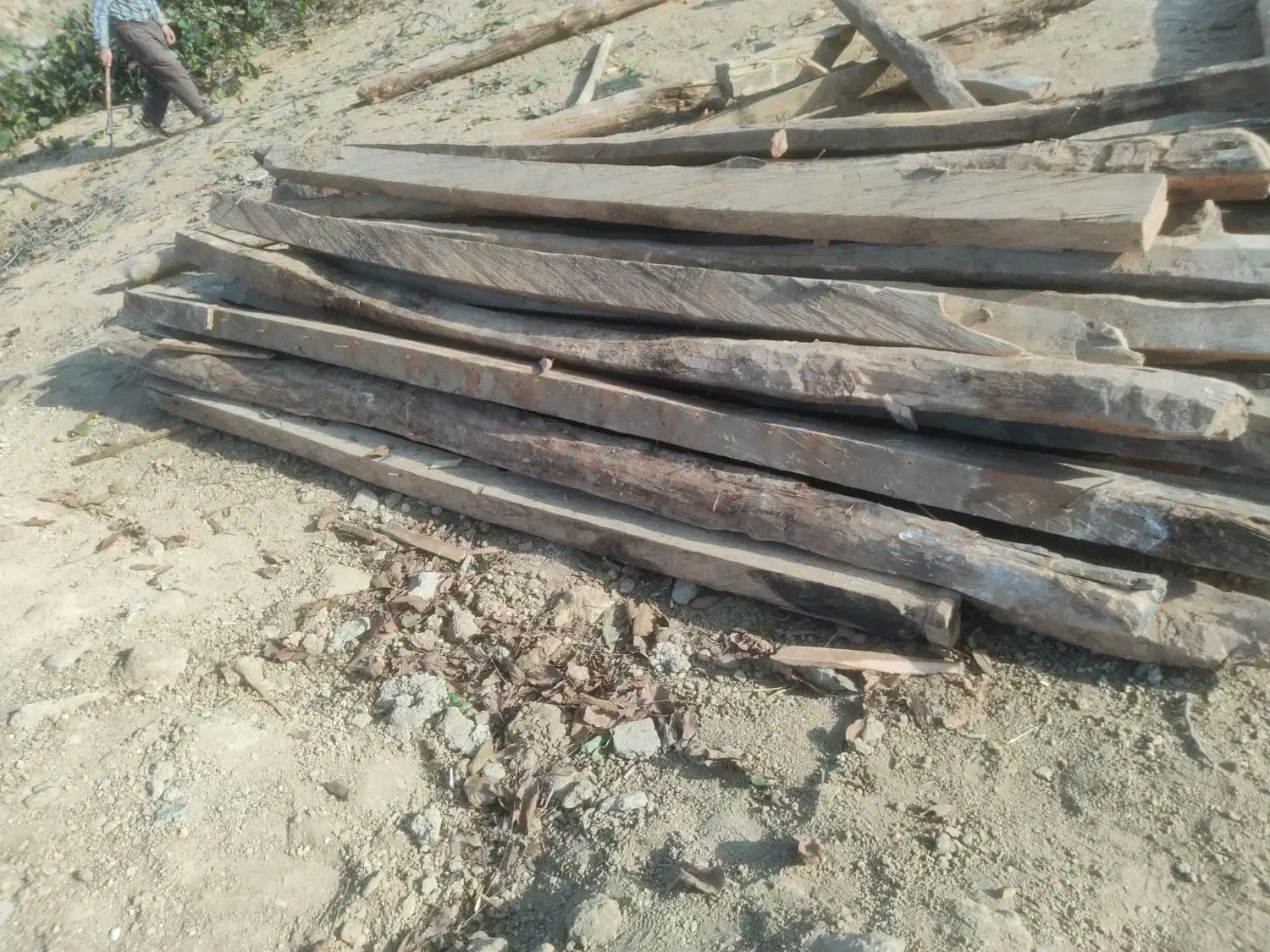 چوب فروشی|مصالح و تجهیزات ساختمان|مینودشت, |دیوار