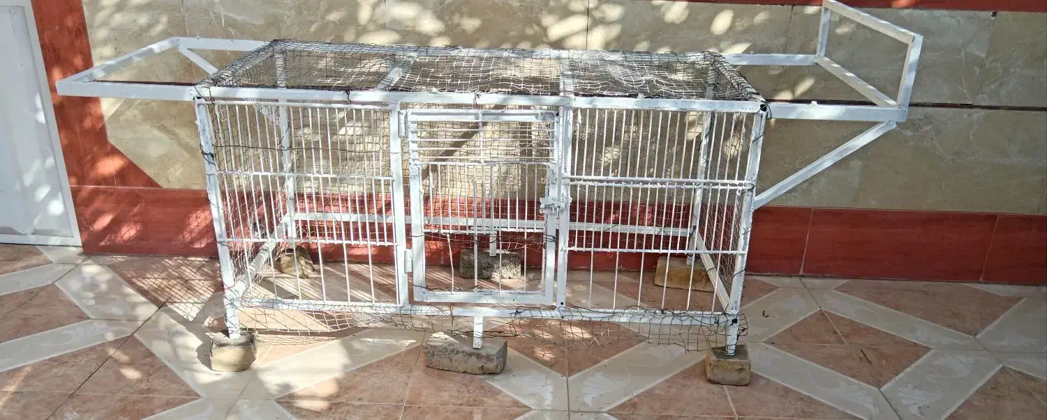 تخت خواب فلزی و قفس|لوازم جانبی حیوانات|برازجان, |دیوار