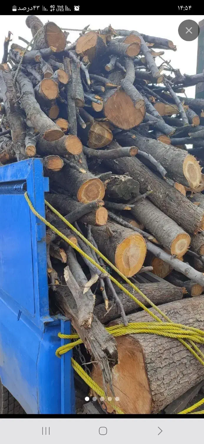 خرید چوب ضایعات  خشک تر|خدمات باغبانی و درختکاری|سراب, |دیوار