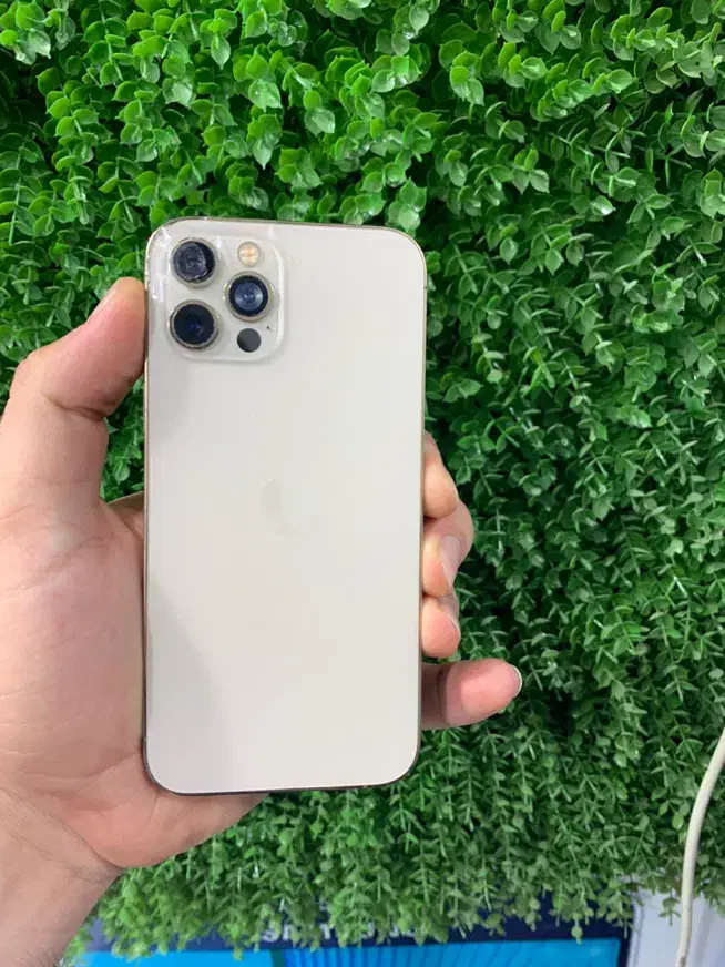 Iphone 12 pro|موبایل|ارومیه, |دیوار