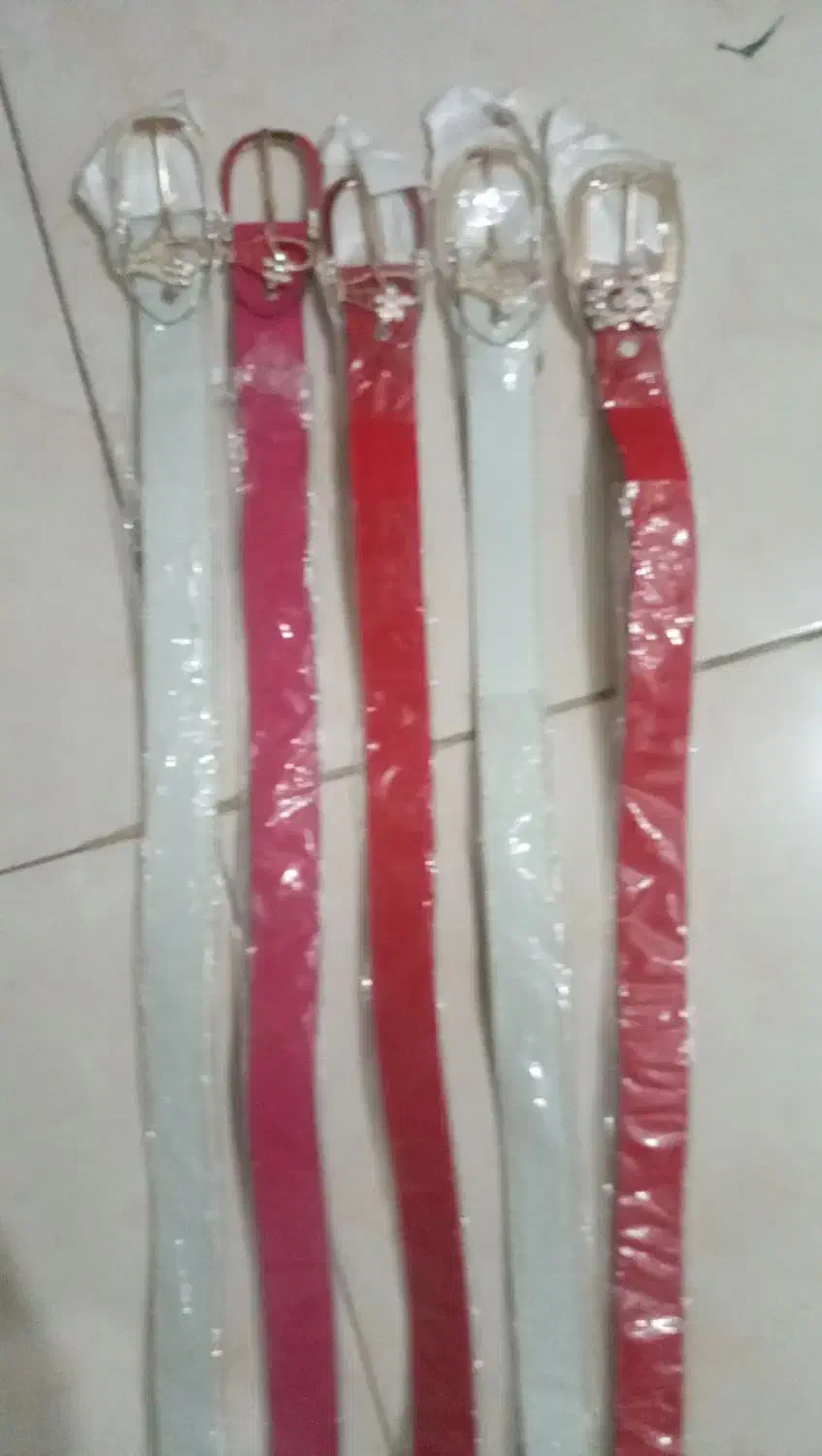 کمربند|کیف، کفش، کمربند|شیراز, تحویلی|دیوار