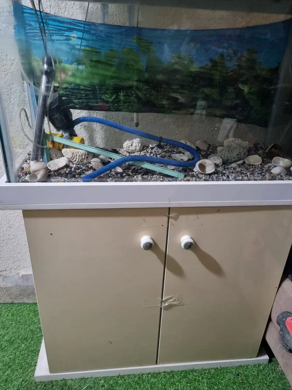 فروش آکواریوم|ماهی|جم, |دیوار