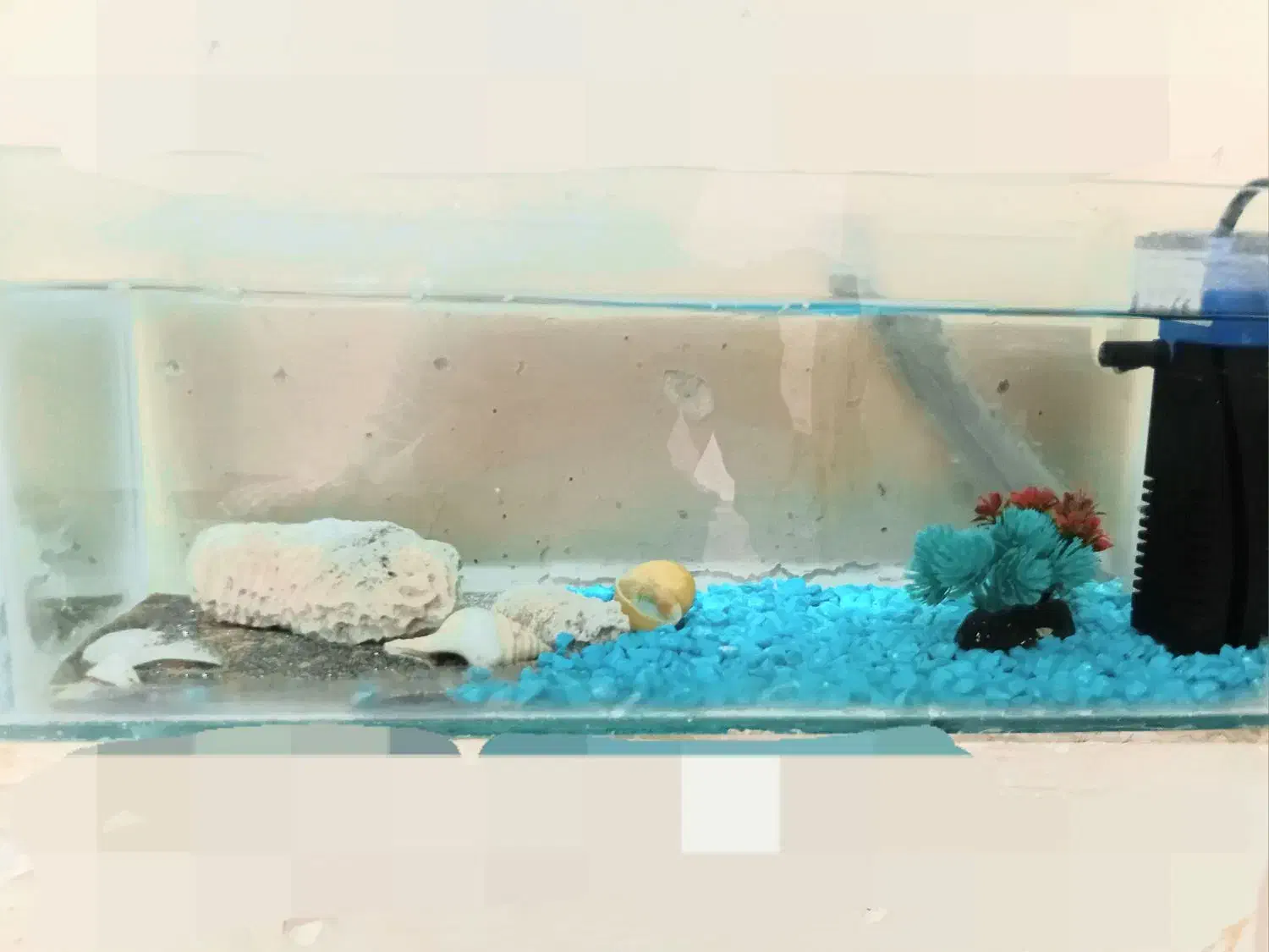 آکواریوم شیک و جمعوجور همراه دکور کامل|ماهی|یزد, |دیوار