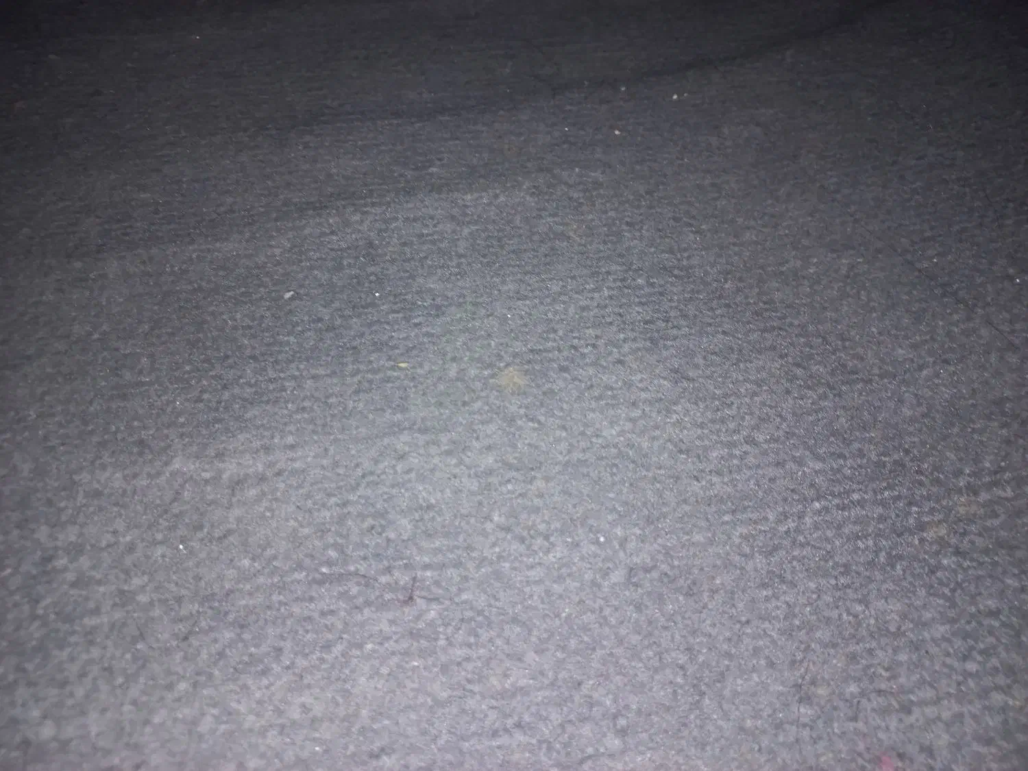 موکت|موکت|فردیس, منظریه|دیوار