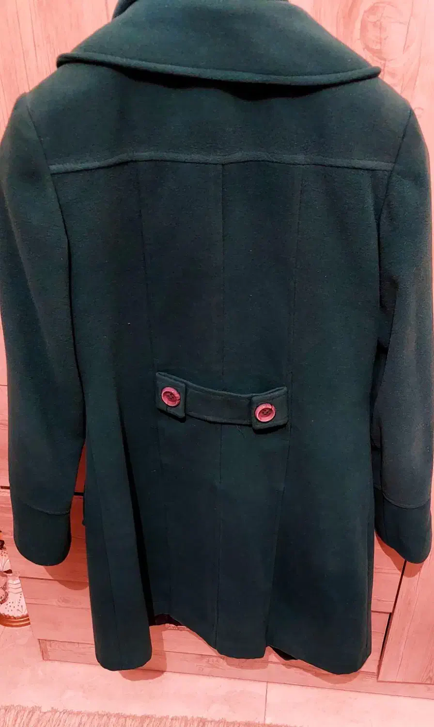 پالتو و کت|لباس|کرج, باغستان|دیوار