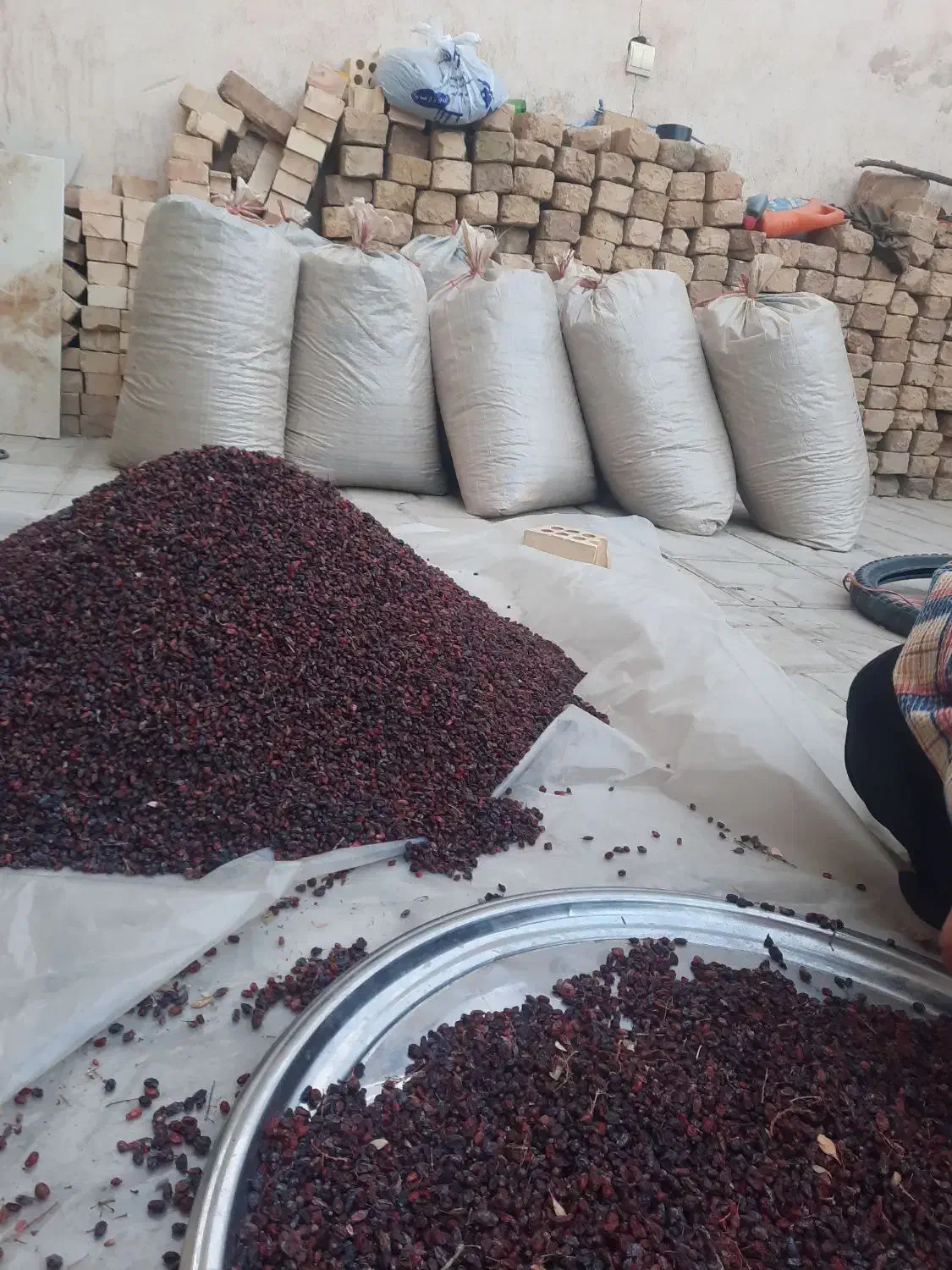 زرشک سیاه کوهی کلی عمده|خوردنی و آشامیدنی|تهران, مخصوص|دیوار