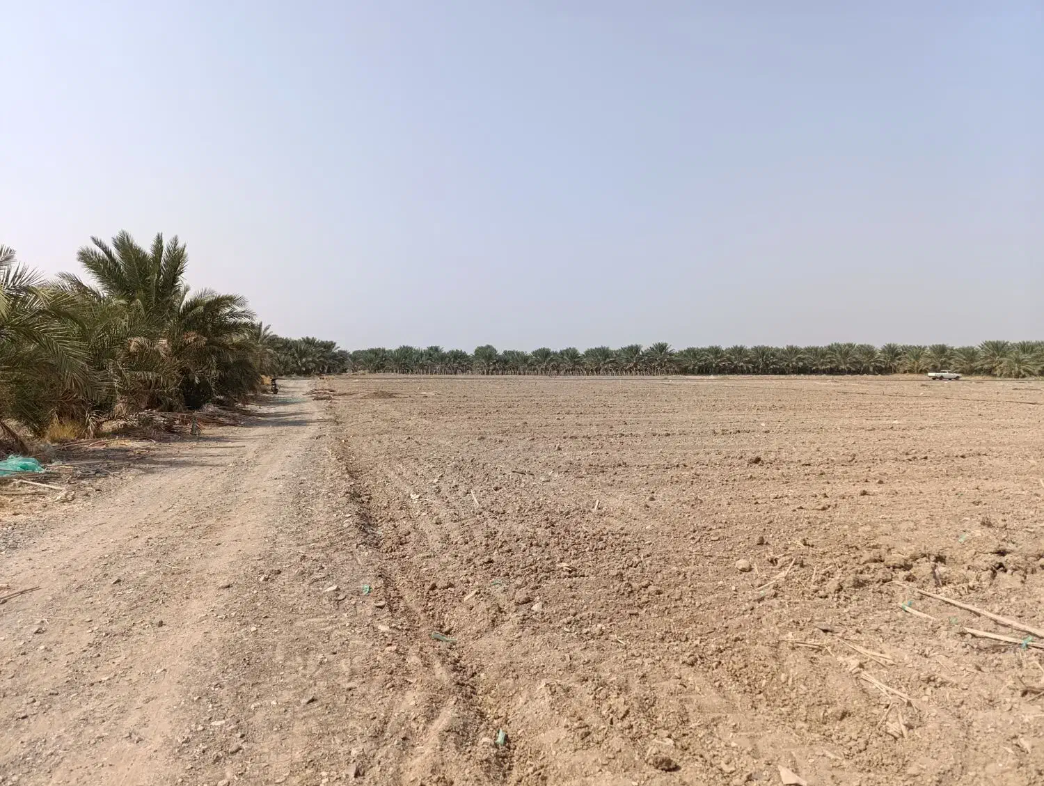 اجاره زمین کشاورزی حاصل خیز|اجارهٔ دفتر صنعتی، کشاورزی، تجاری|بلوک, |دیوار