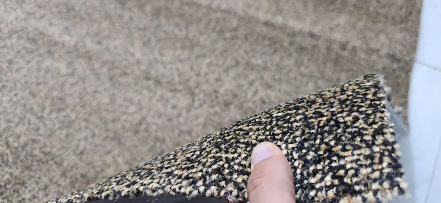 موکت ضخیم پالاز|موکت|تهران, فلسطین (میدان انقلاب)|دیوار