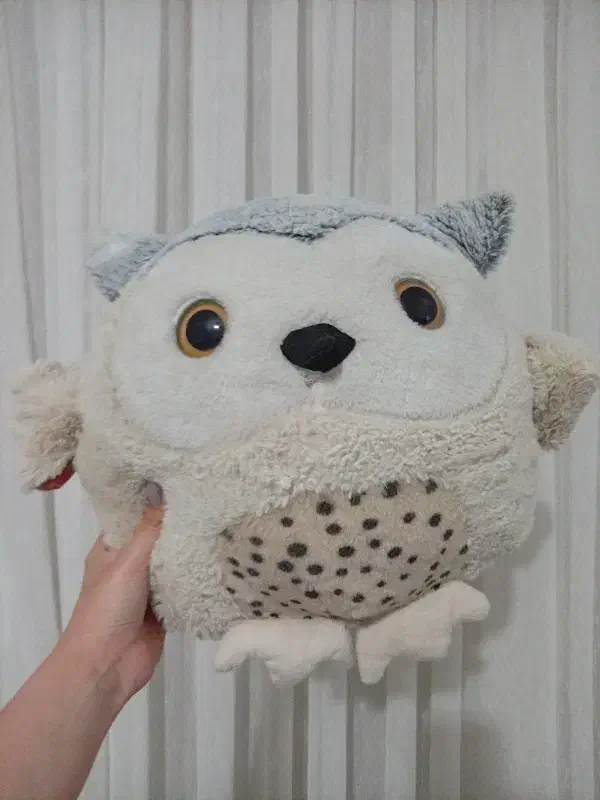 عروسک نو الان هدیه گرفتم|اسباب‌‌بازی|مشهد, الهیه|دیوار