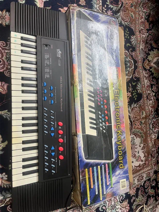 ارگ کاملاسالم|پیانو، کیبورد، آکاردئون|قزوین, |دیوار