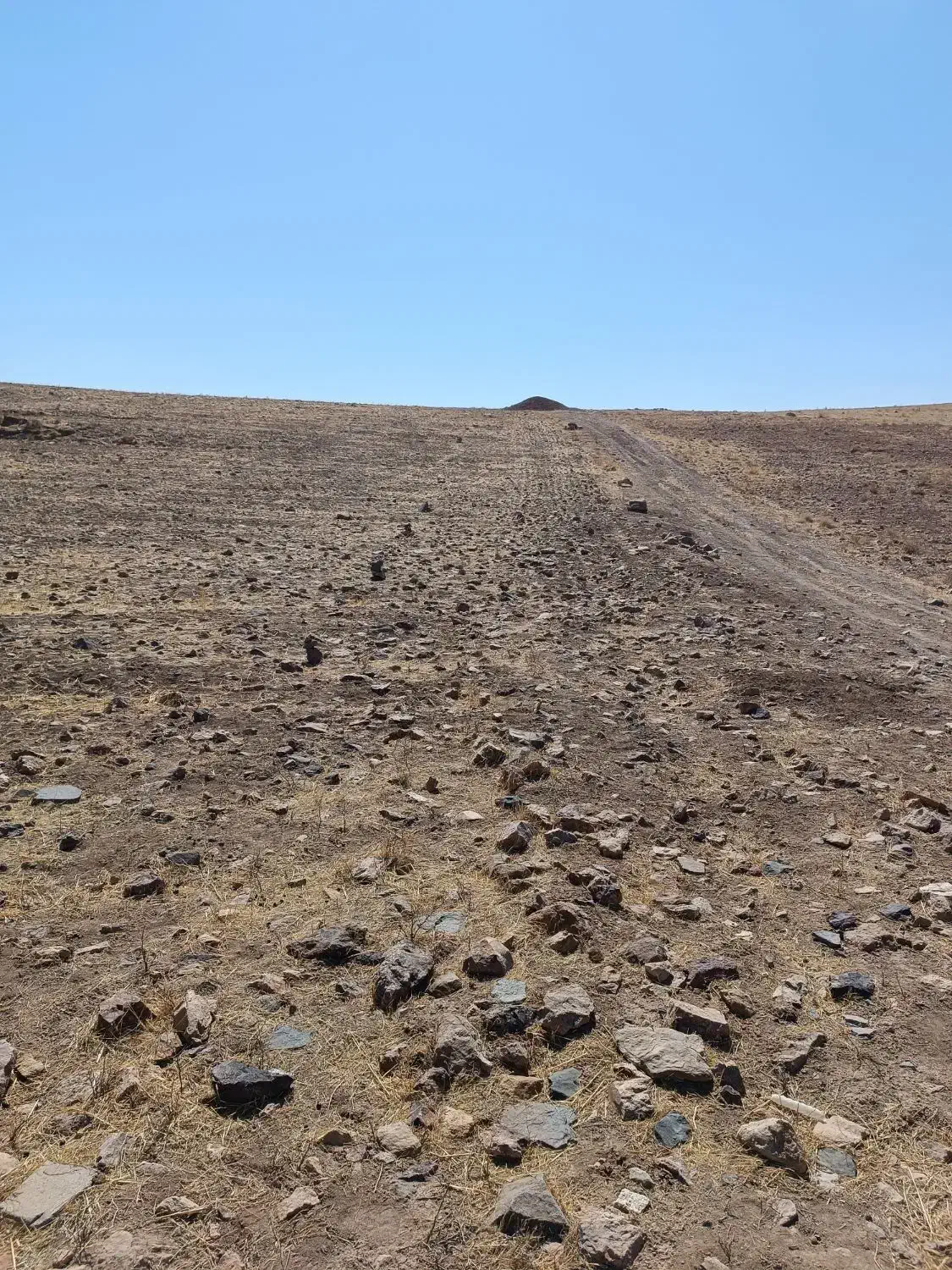 زمین حاشیه جاده زنجان به روستای همایون|فروش زمین و ملک کلنگی|زنجان, |دیوار