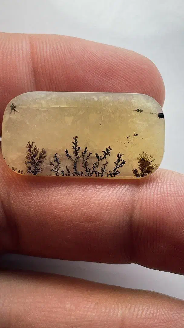 شجر قائن|جواهرات|خمینی‌شهر, |دیوار