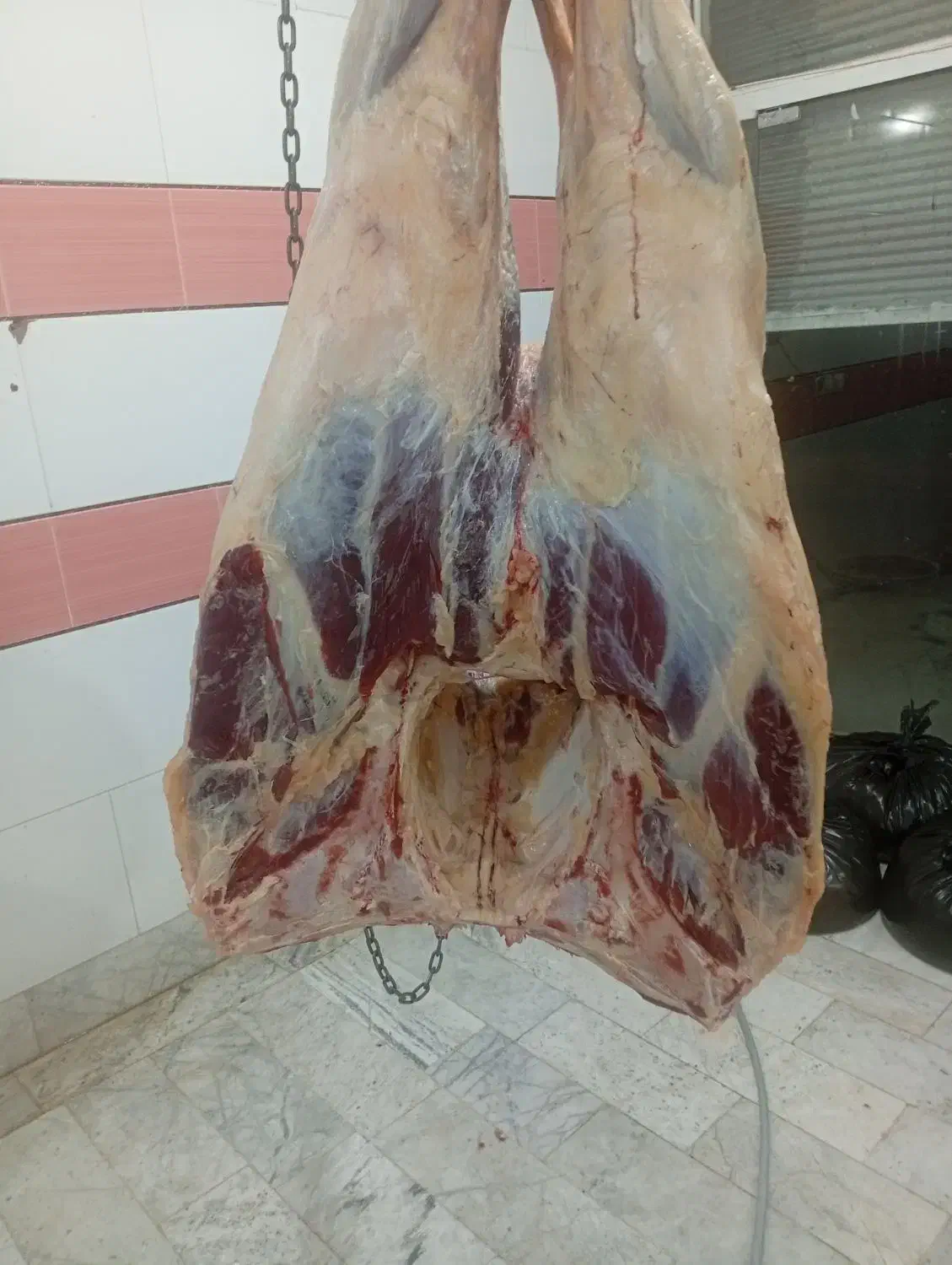 گاو گوساله افتاده|حیوانات مزرعه|ایجرود, |دیوار