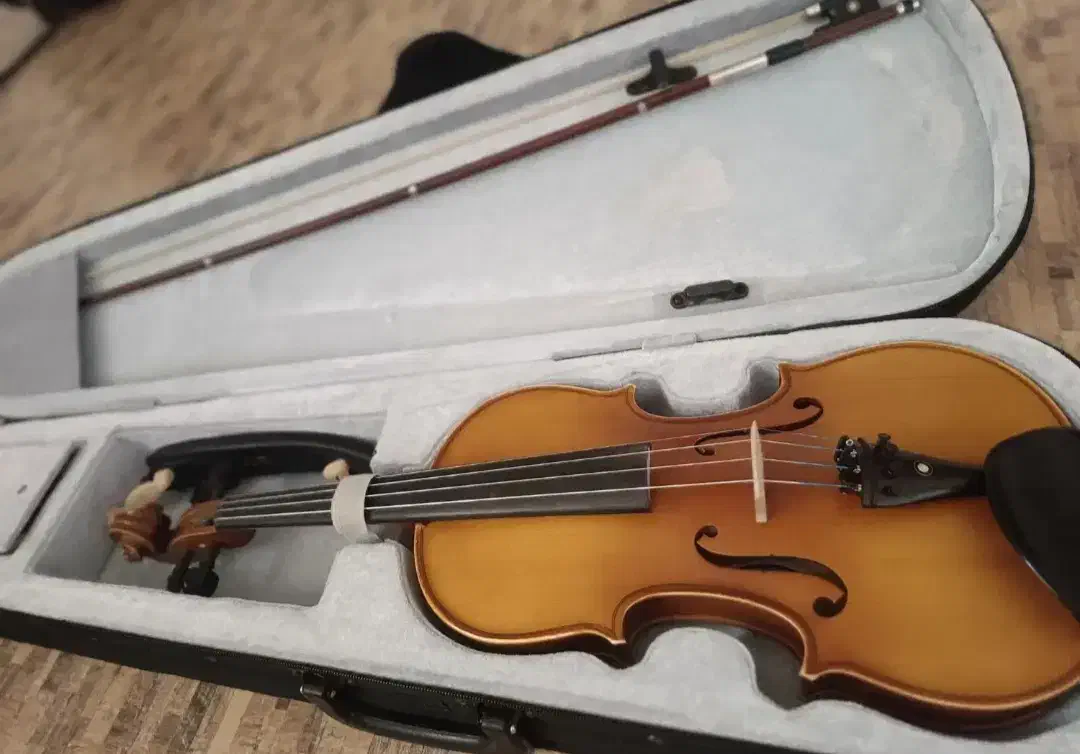 ویالون TF142 4/4|ویولن|شیراز, دشت چنار|دیوار