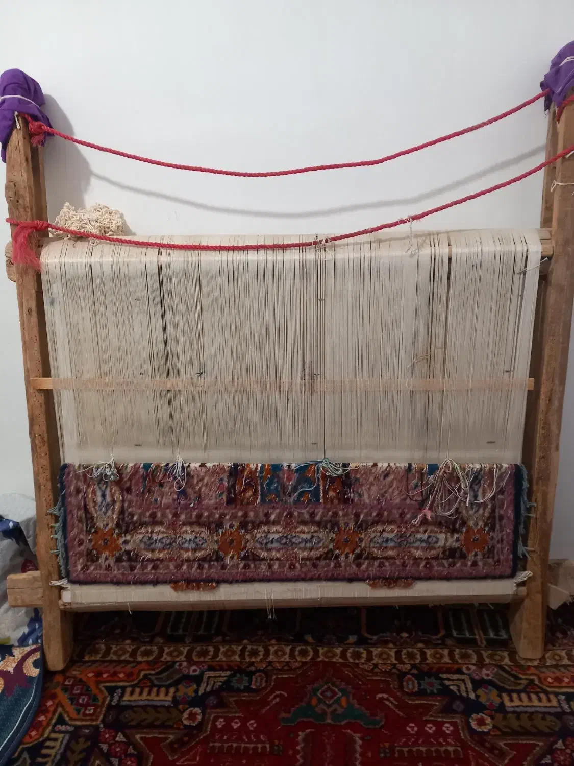 فرش زرنیم گنبد|فرش|صوفیان, |دیوار