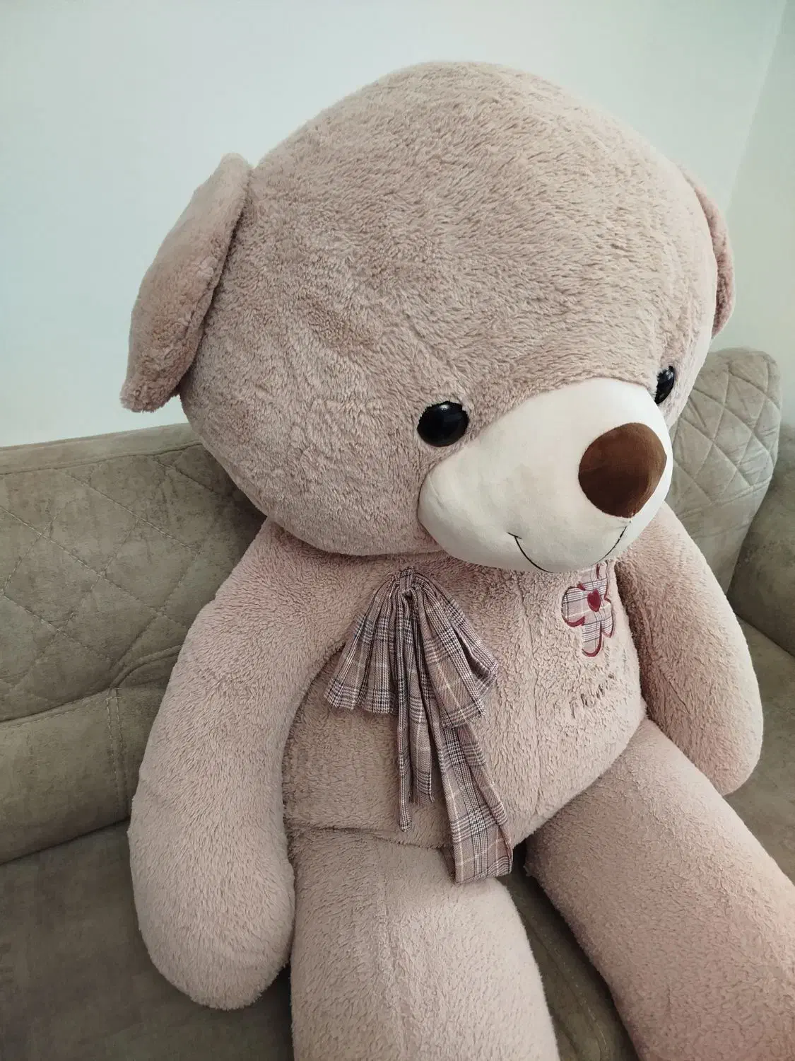 خرس بزرگ|اسباب‌‌بازی|زنجان, |دیوار